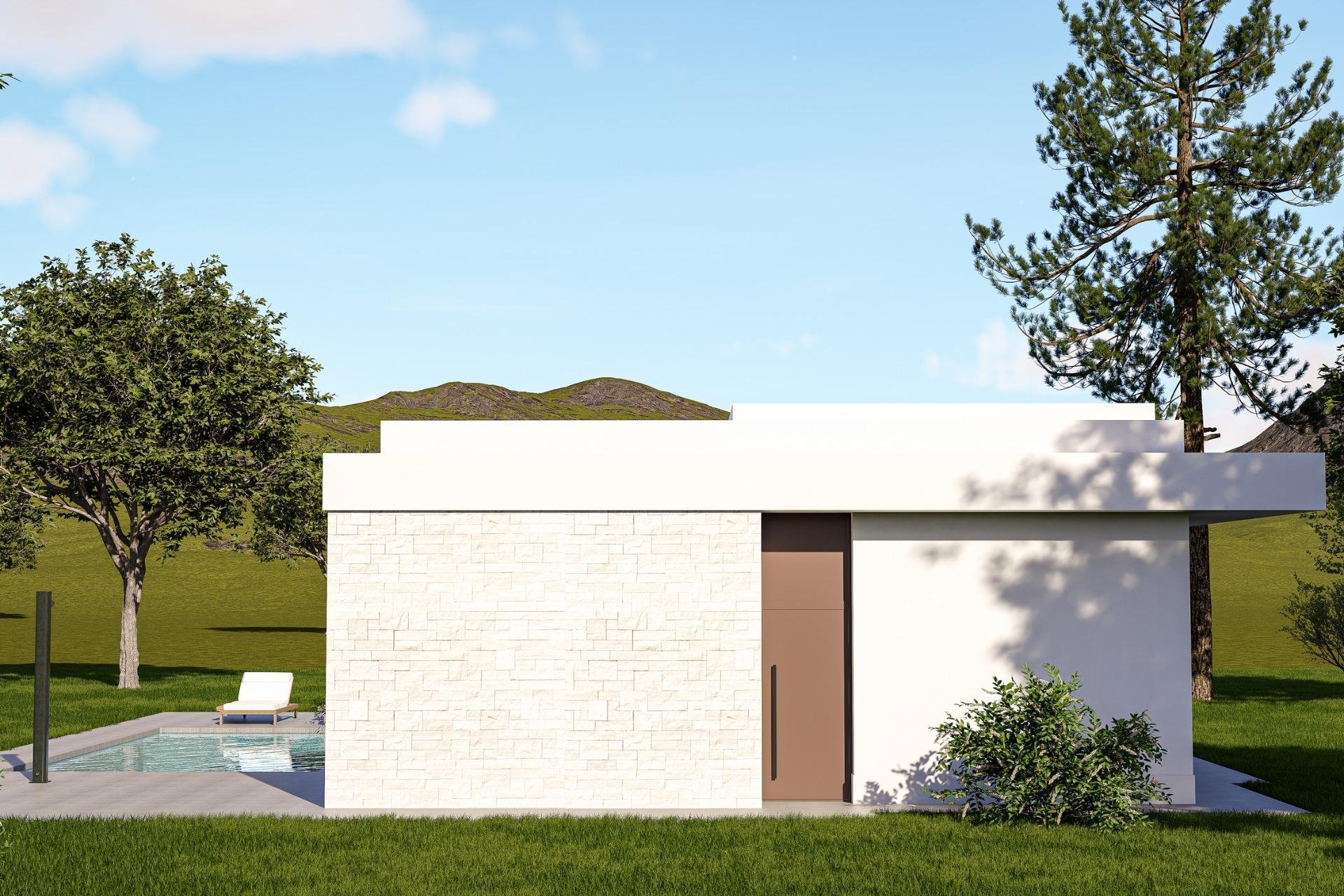 Nouvelle construction - Villa -
Pinoso - Lel