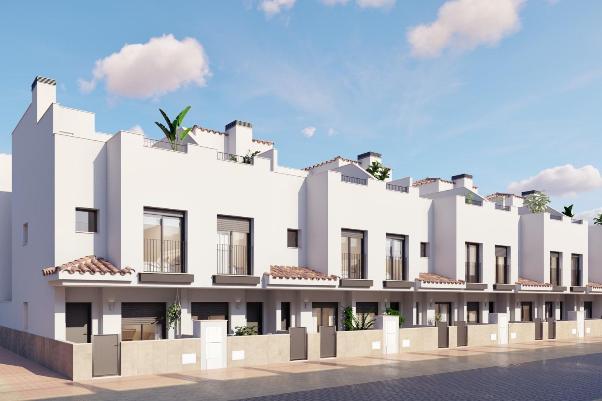 Obra nueva - Adosado -
Torre Pacheco - Santa Rosalia pueblo
