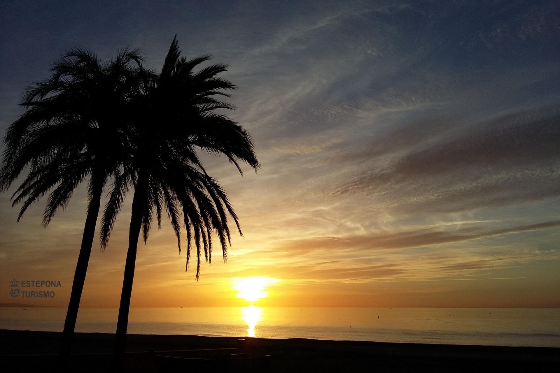 Obra nueva - Apartamento -
Estepona - Buenas Noches