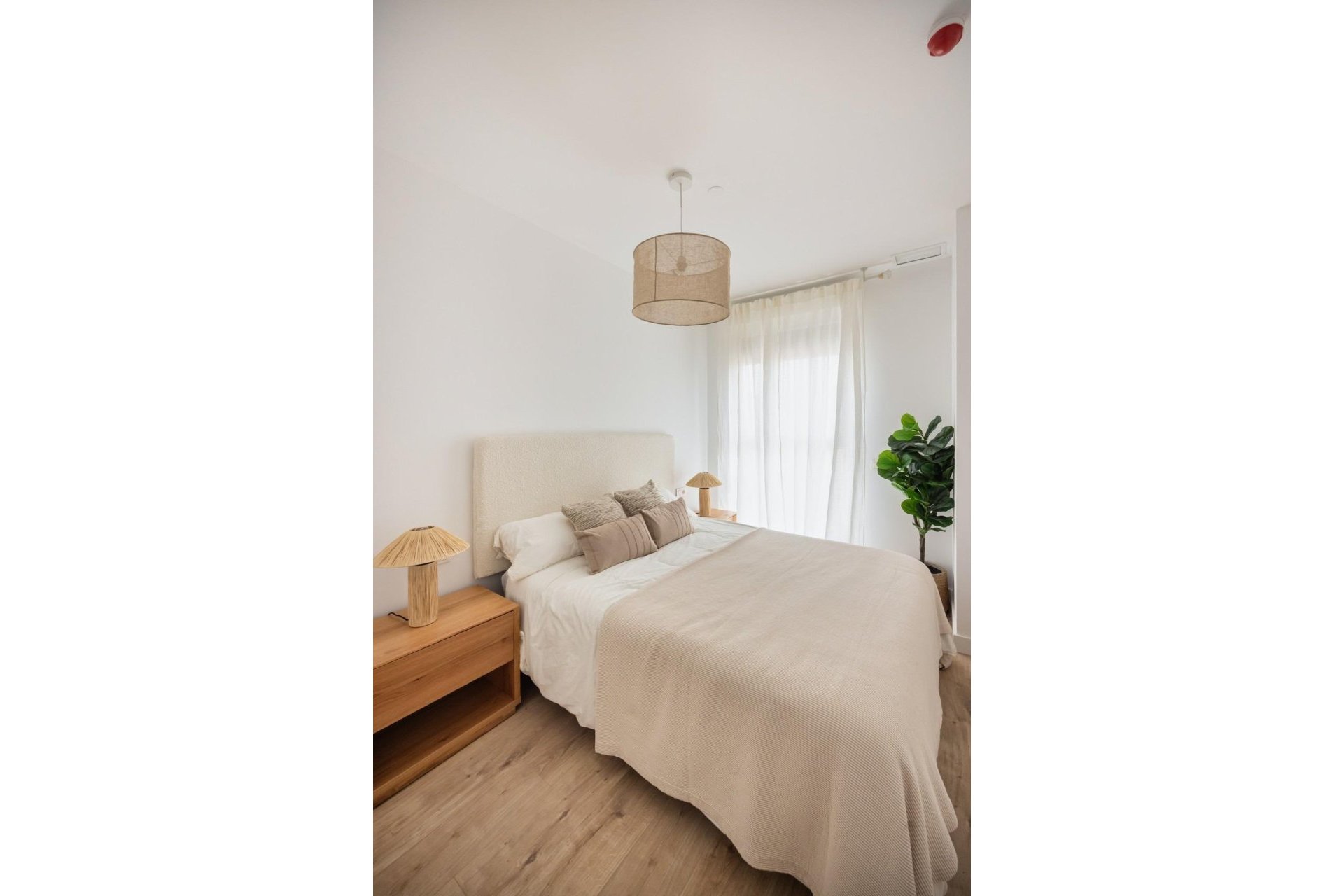 Obra nueva - Apartamento -
Málaga - Centro