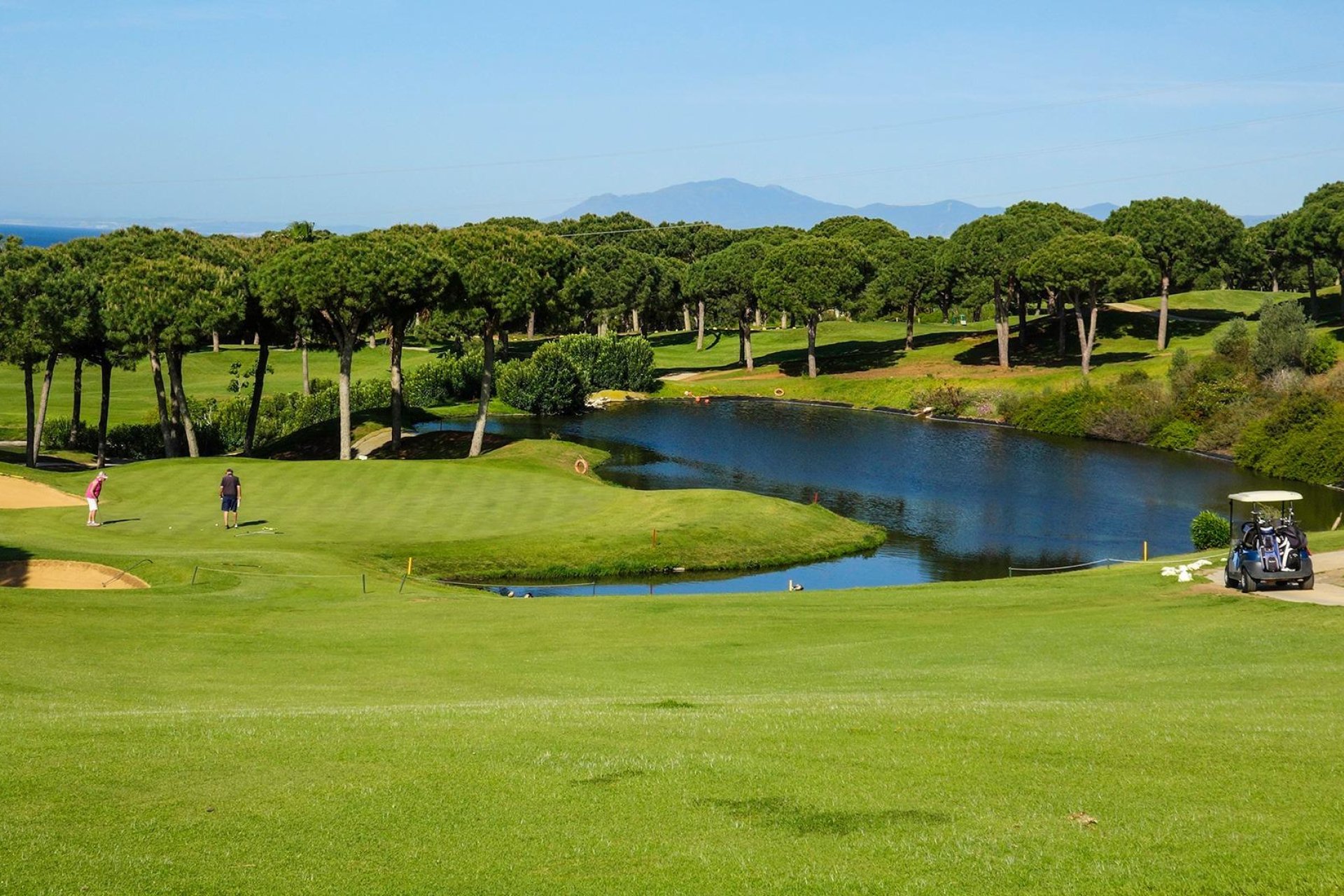 Obra nueva - Apartamento -
Marbella - Cabopino Golf