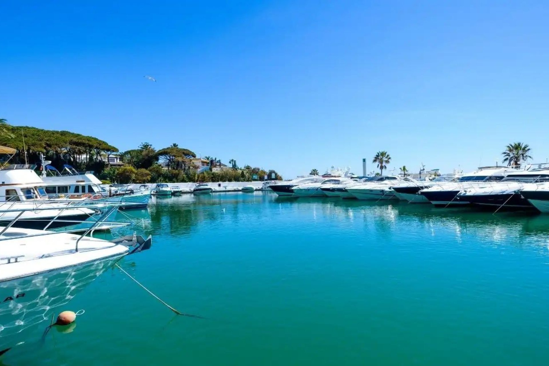 Obra nueva - Apartamento -
Marbella - Cabopino Golf