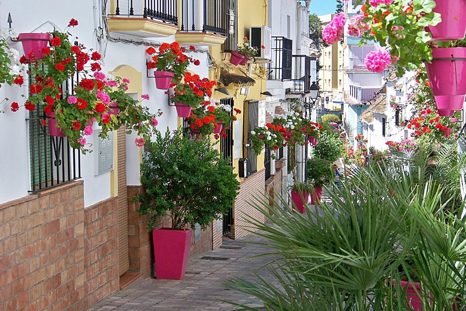 Obra nueva - Ático -
Estepona - Buenas Noches
