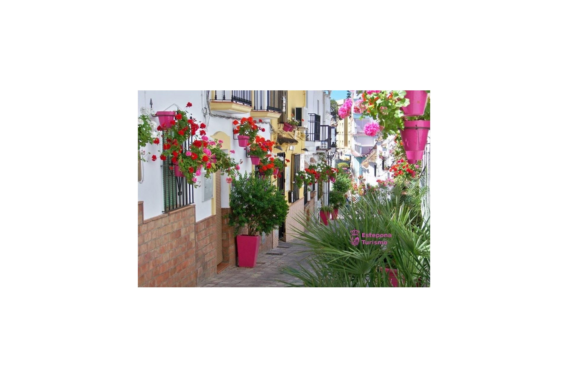 Obra nueva - Ático -
Estepona - Parque El Calvario