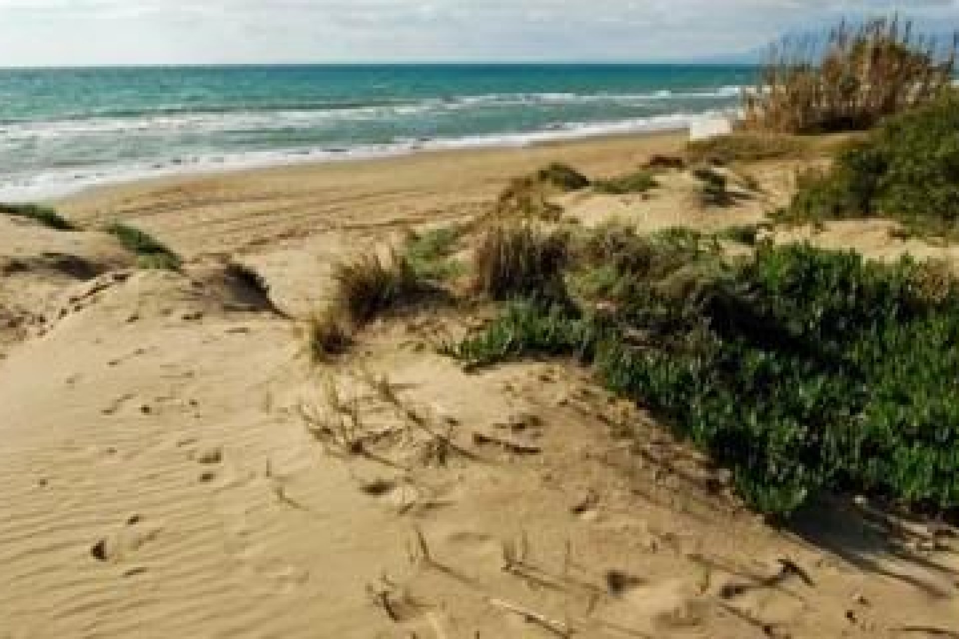 Obra nueva - Ground floor apartment -
Marbella - Cabopino