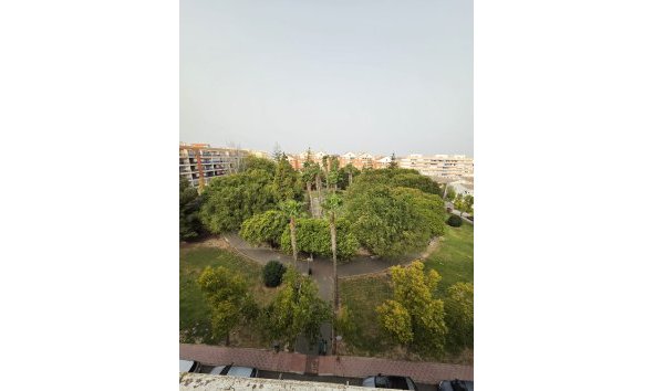 Penthouse - Wiederverkauf - Torrevieja - Costa Blanca