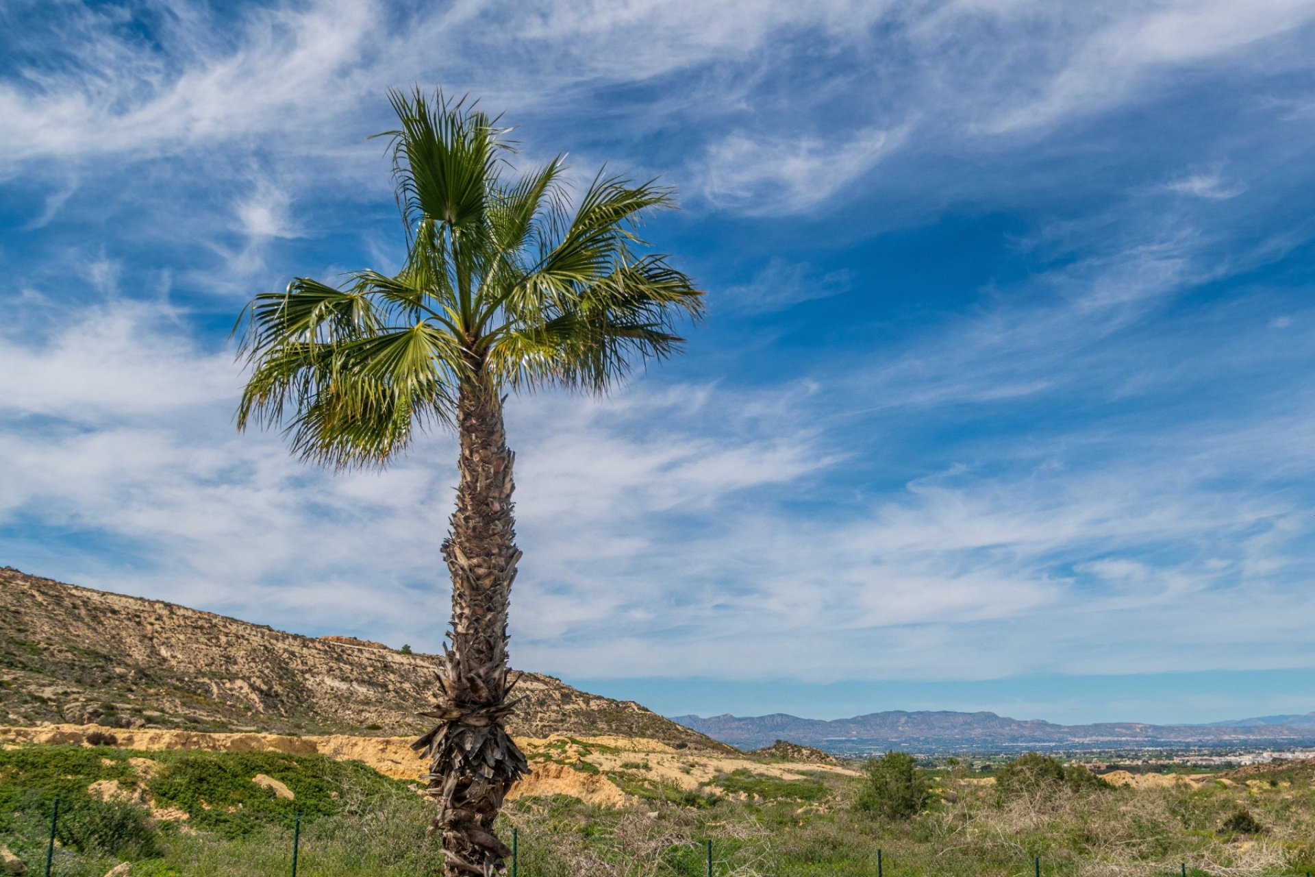 Resale - Apartment -
Algorfa - Inland