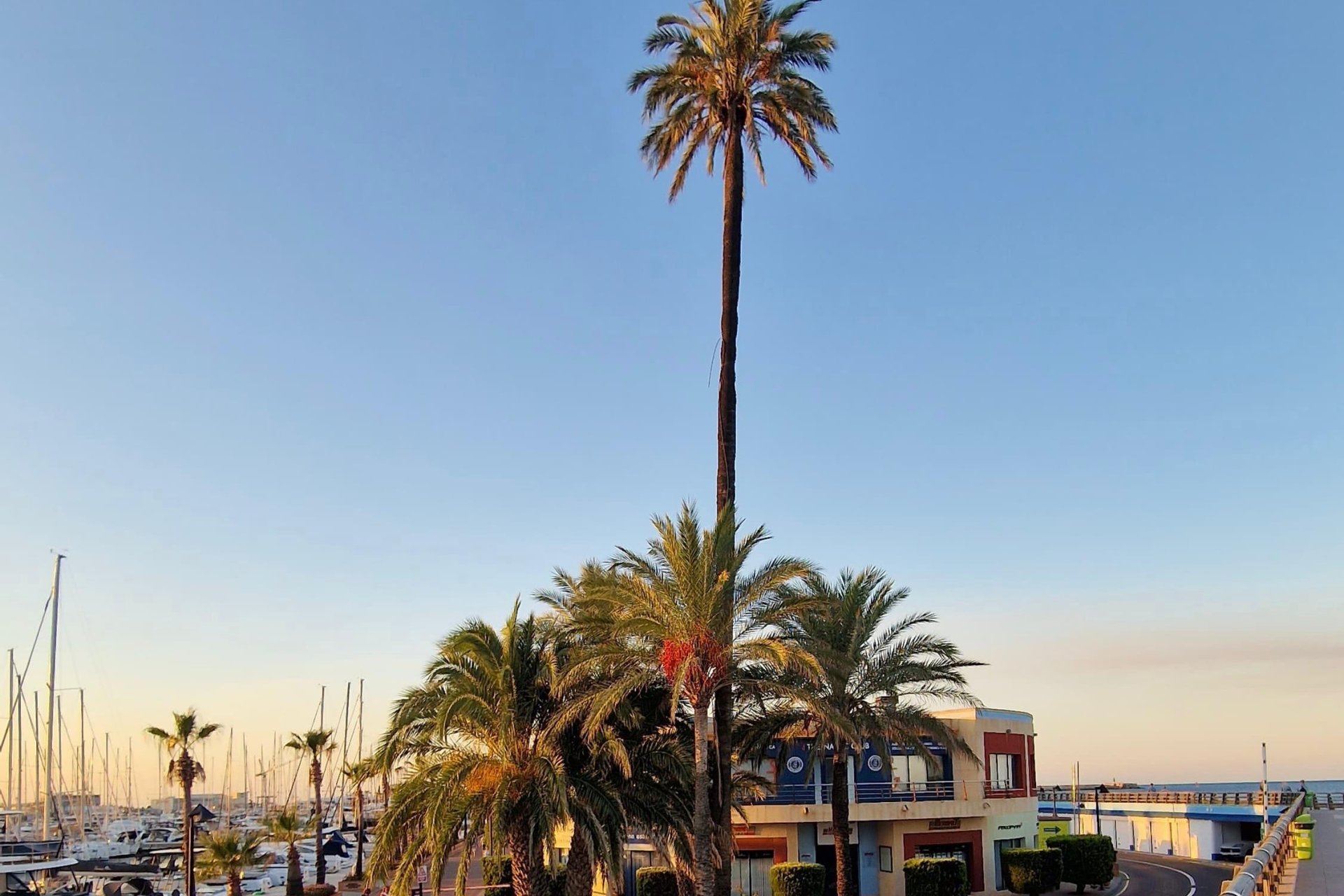 Resale - Apartment -
Denia - Costa Blanca