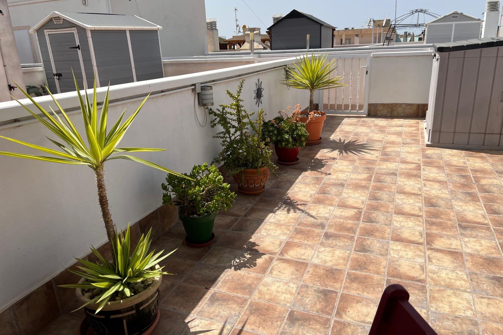 Resale - Apartment -
Dolores - Comunidad Valenciana