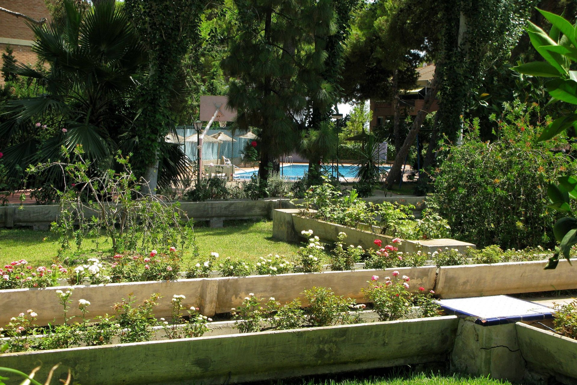 Resale - Apartment -
Lo Pagan - 1Âª Linea De Playa