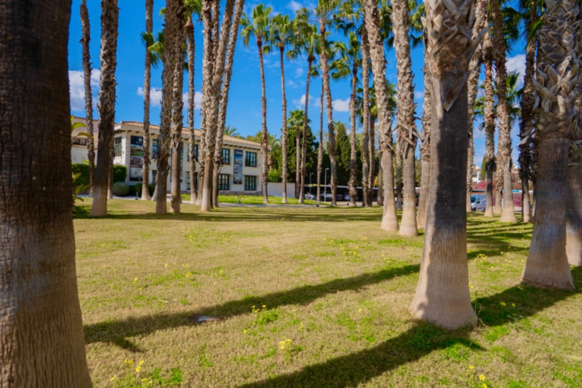 Resale - Apartment -
Orihuela - Inland