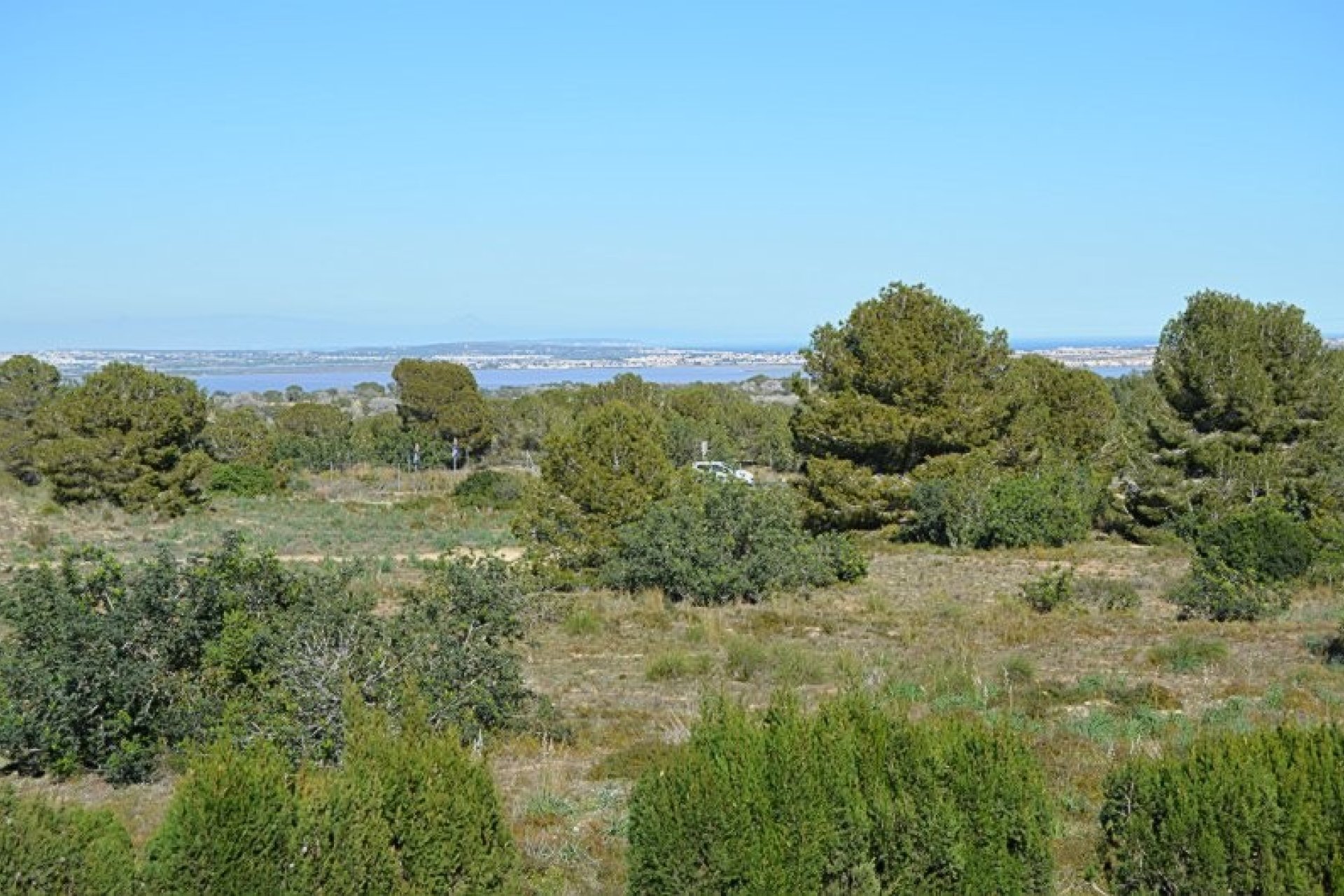 Resale - Apartment -
San Miguel de Salinas - Inland