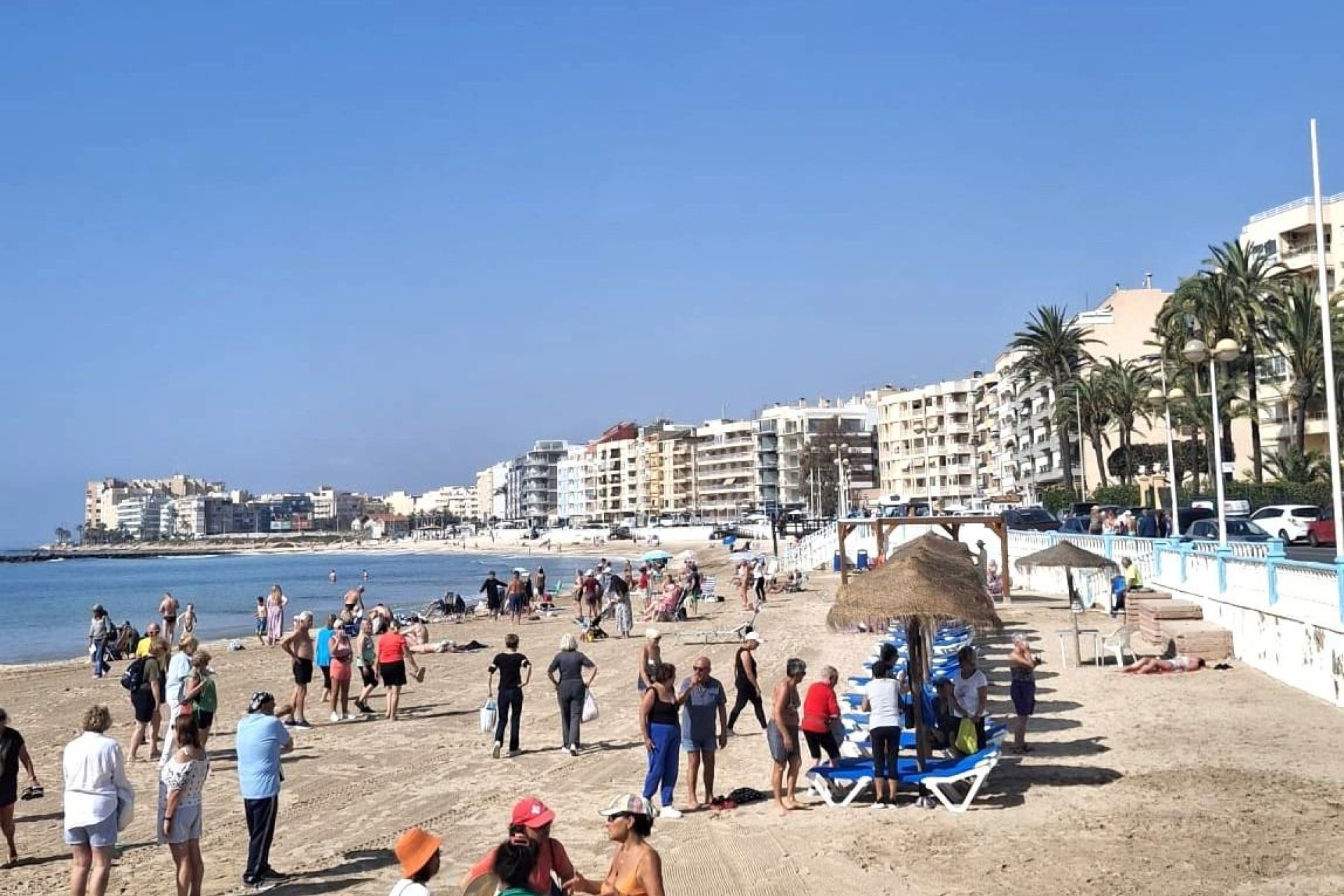 Resale - Apartment -
Torrevieja - Centro