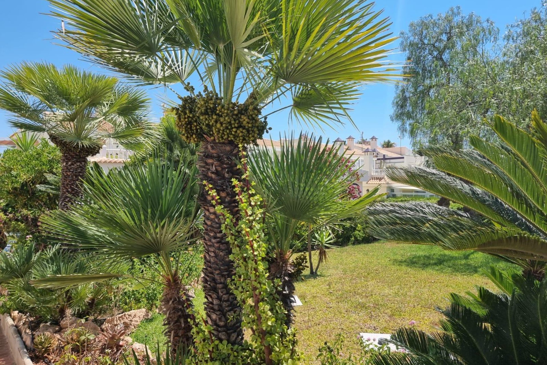 Resale - Apartment -
Torrevieja - Los Balcones - Los Altos del Edén