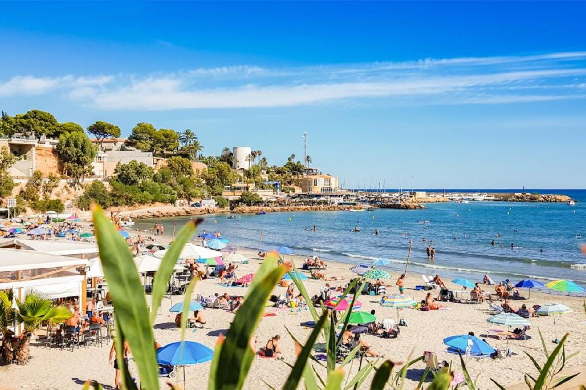 Resale - Apartment -
Villamartin - Costa Blanca