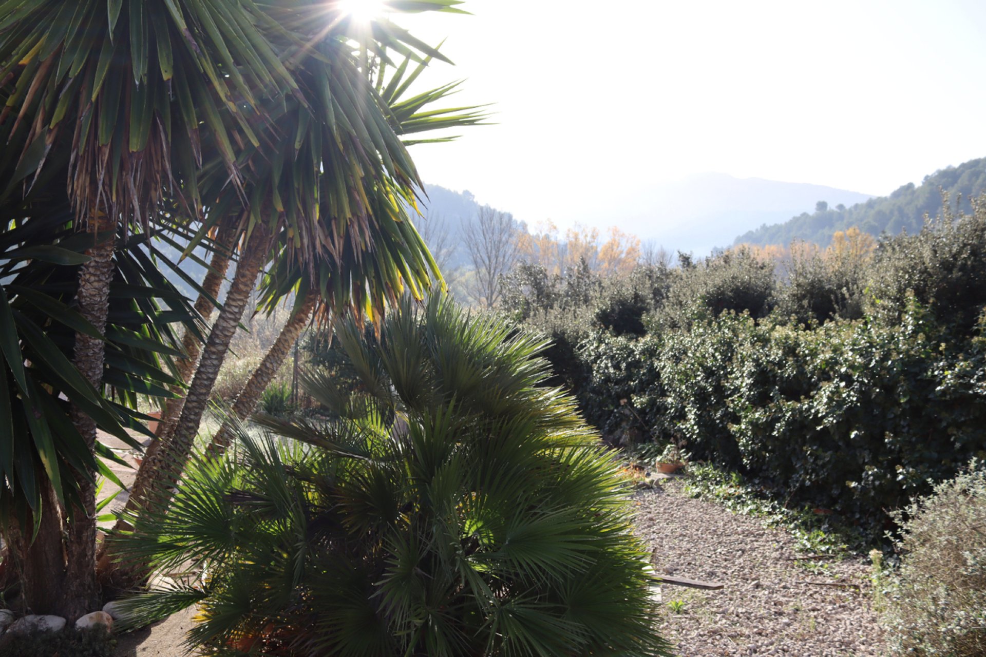 Resale - Bungalow -
Castell de Castells - Inland