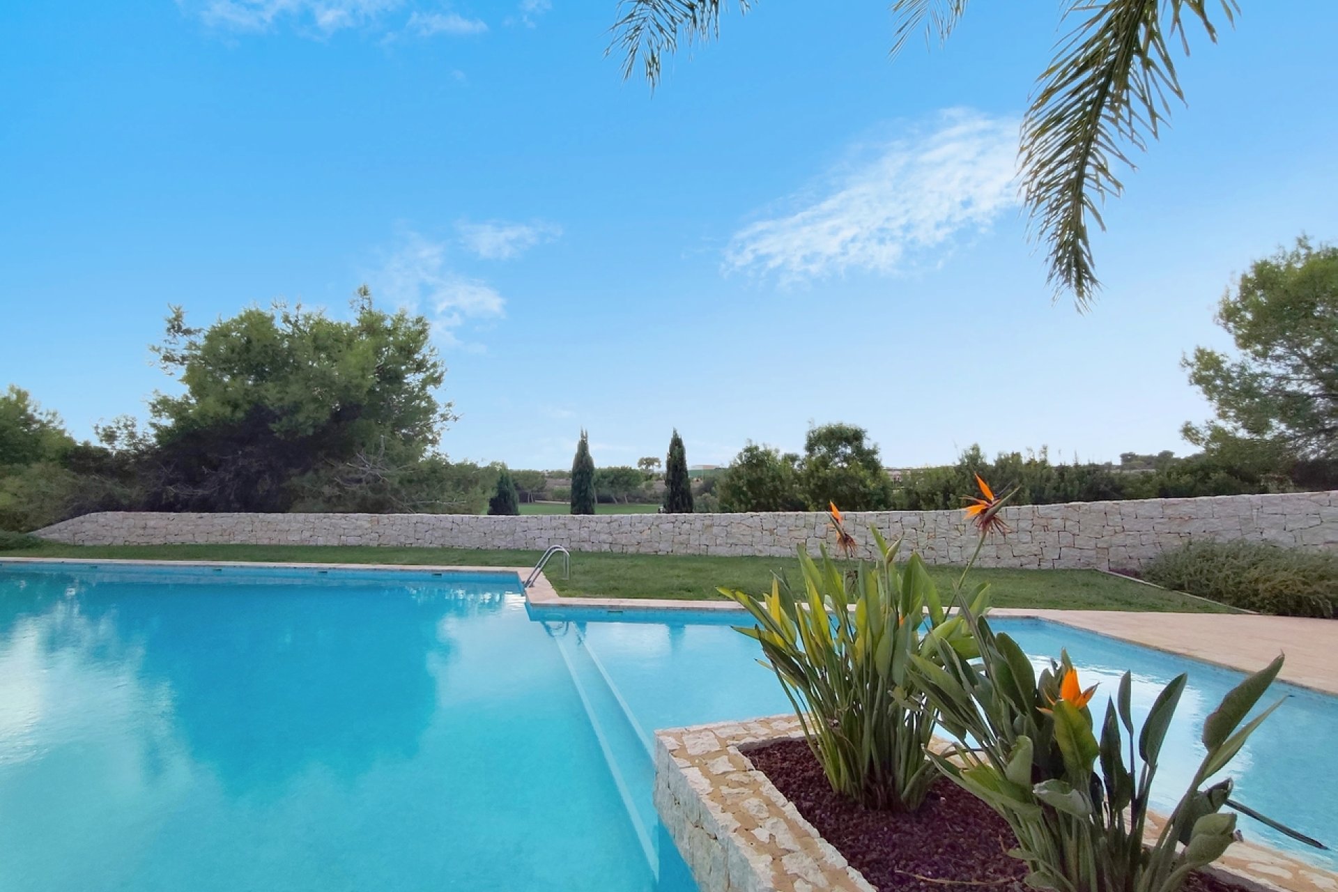 Resale - Penthouse -
Pilar de la Horadada - Costa Blanca