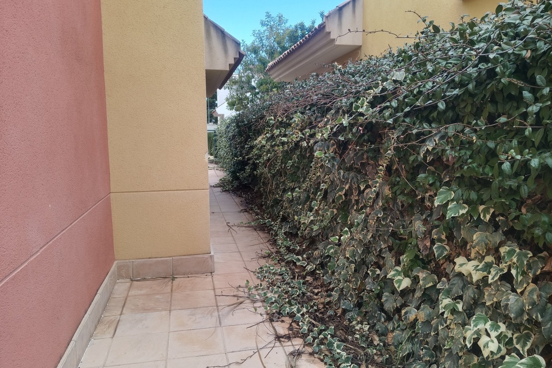 Resale - Semi Detached -
La Tercia Golf Resort - Inland