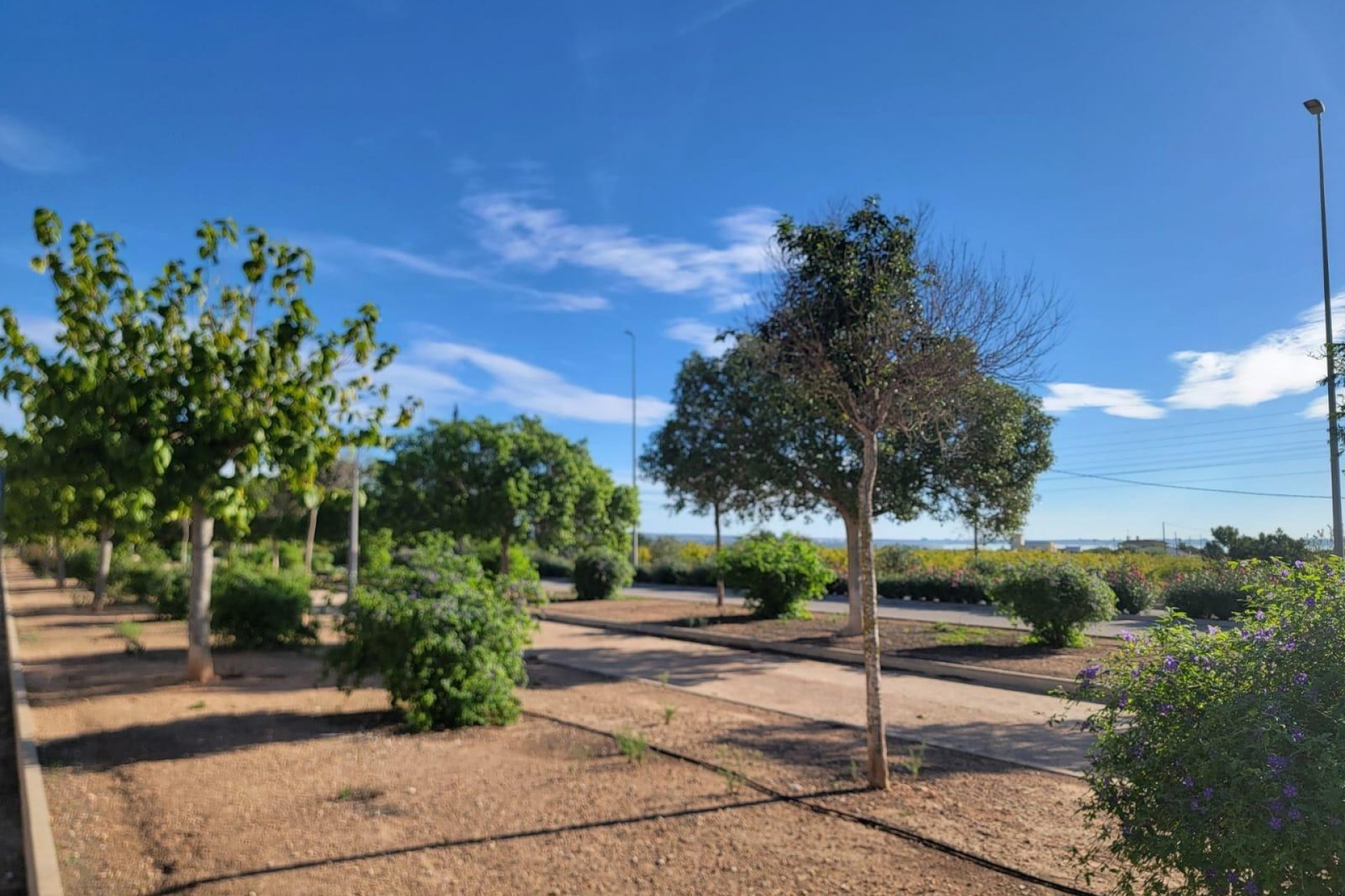 Resale - Town House -
Los Montesinos - Los Montesinos - Urb. La Herrada