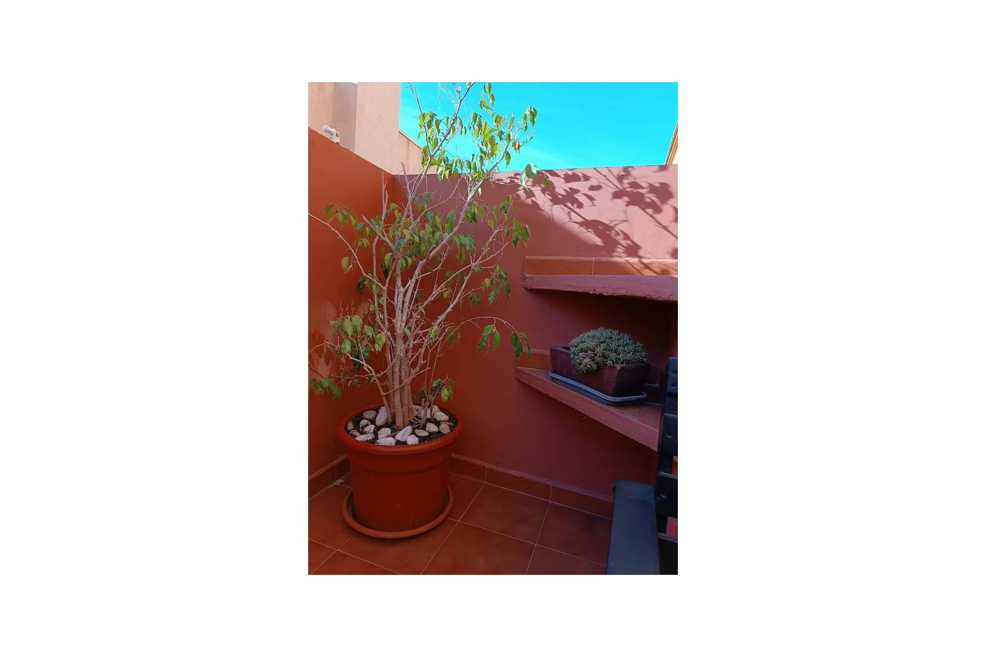 Resale - Town House -
Torrevieja - Aguas Nuevas