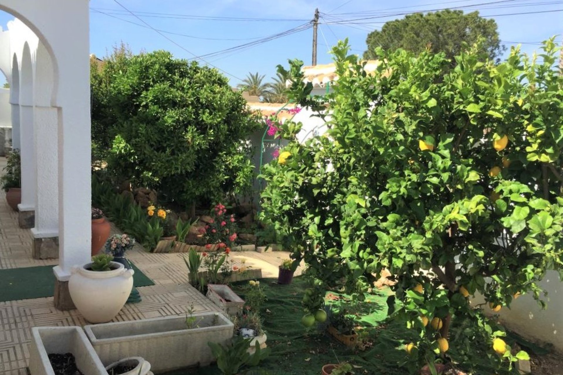 Resale - Town House -
Torrevieja - Costa Blanca