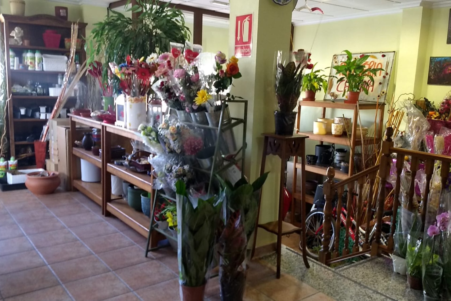 Resale - Townhouse -
Pinoso - Inland