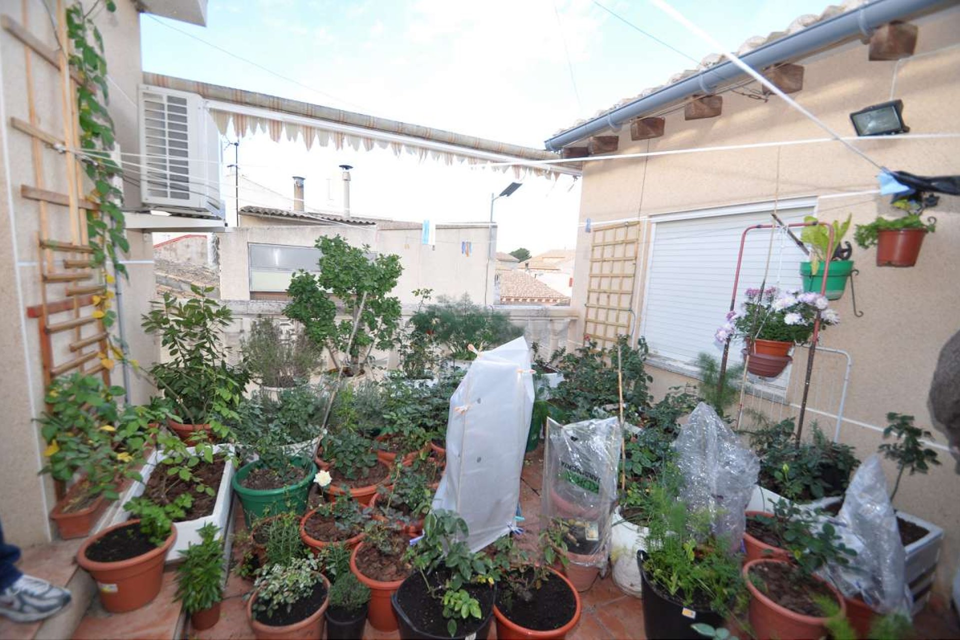 Resale - Townhouse -
Pinoso - Inland