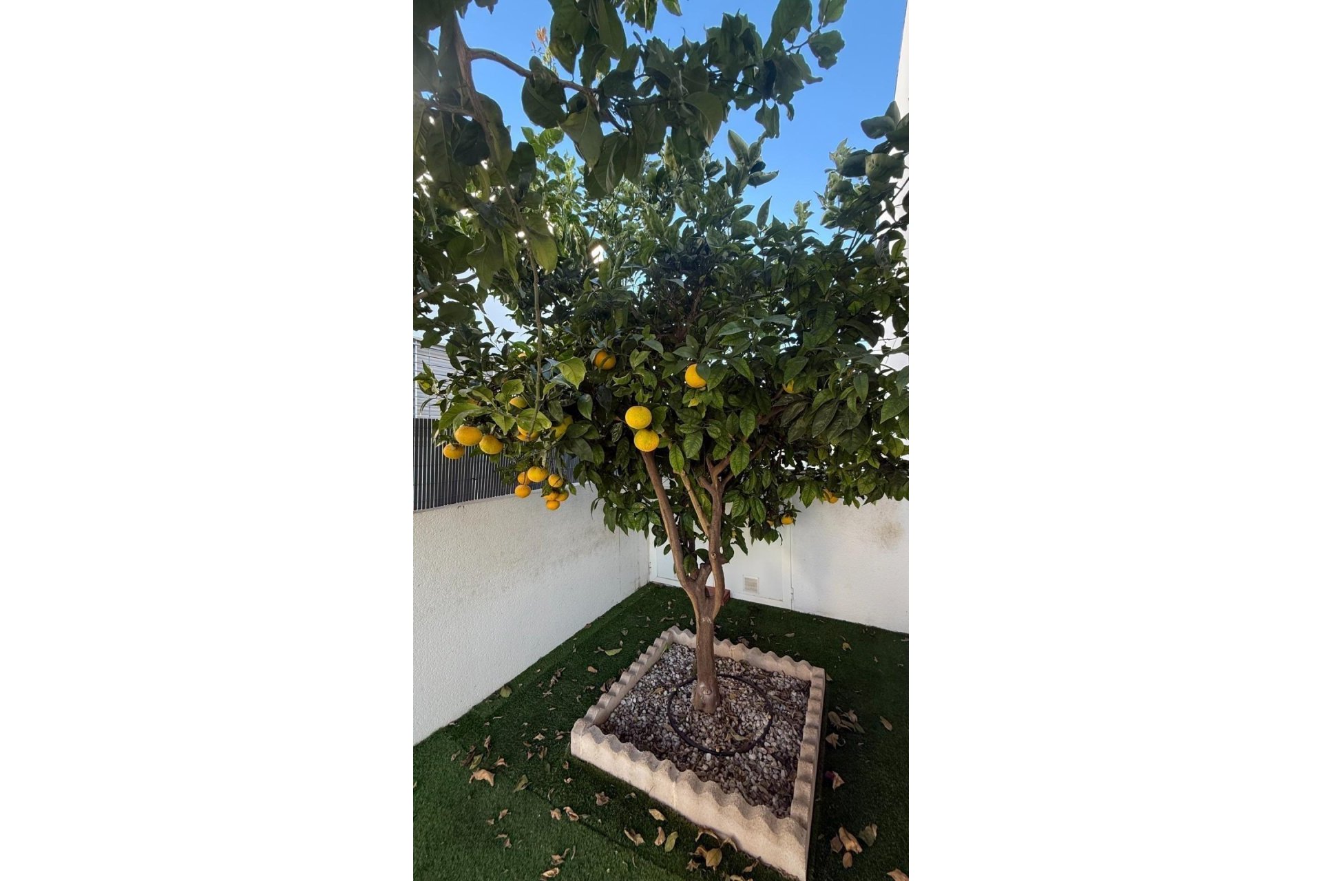 Resale - Townhouse -
Torrevieja - Aguas Nuevas