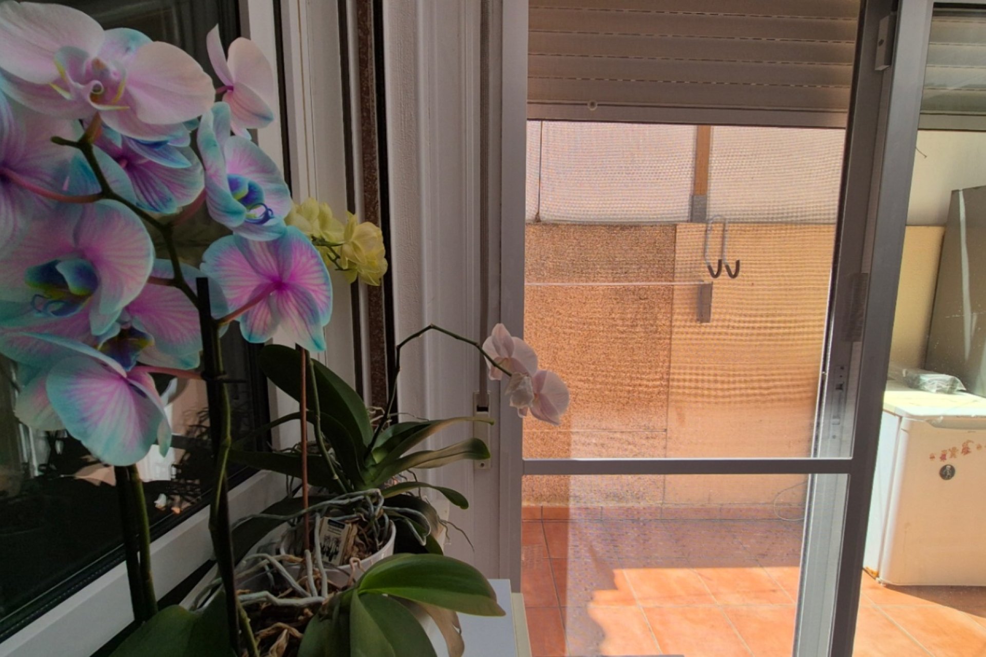 Resale - Townhouse -
Torrevieja - Costa Blanca