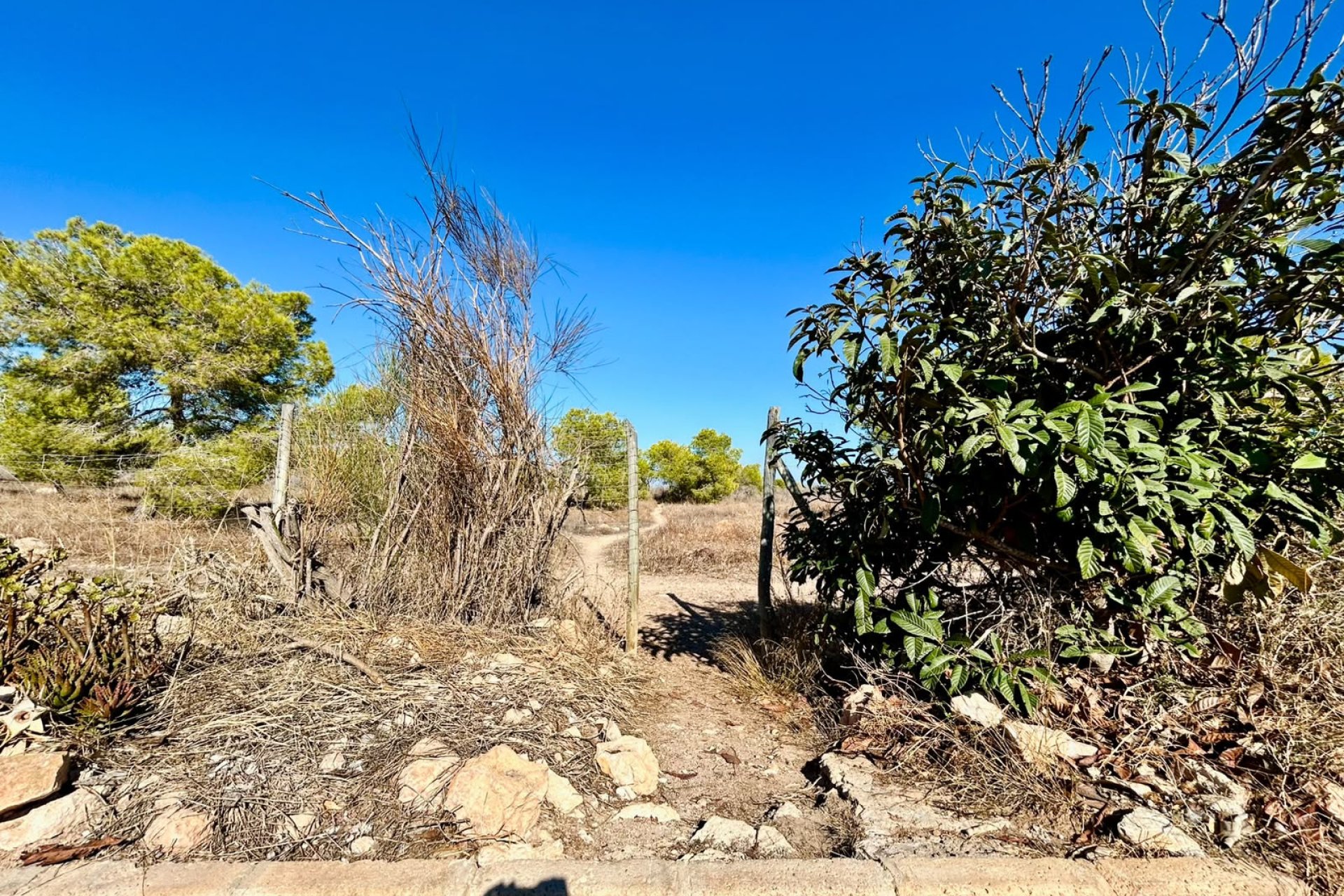 Resale - Townhouse -
Torrevieja - Costa Blanca