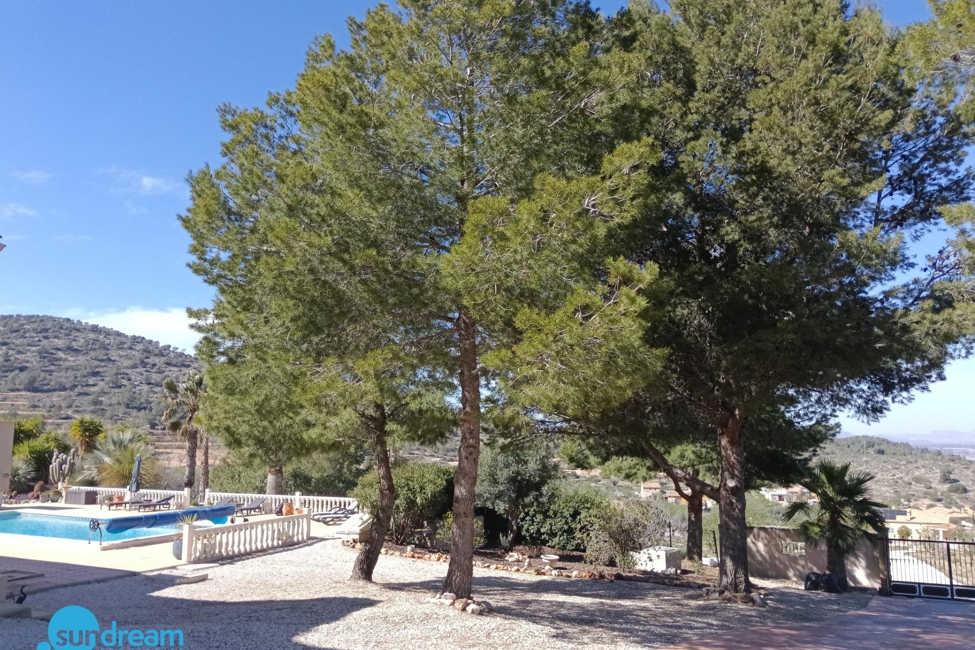 Resale - Villa -
Abanilla