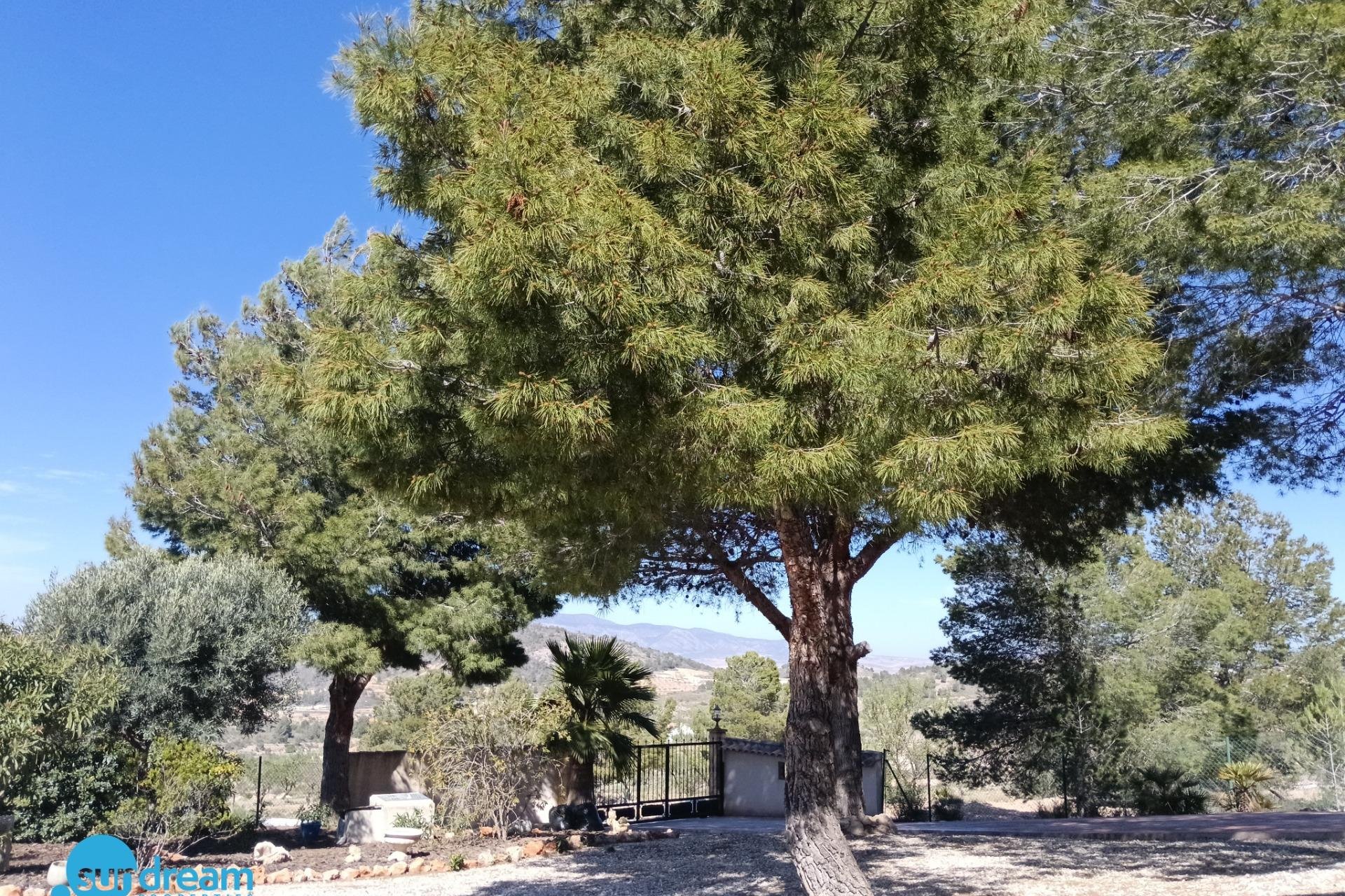 Resale - Villa -
Abanilla