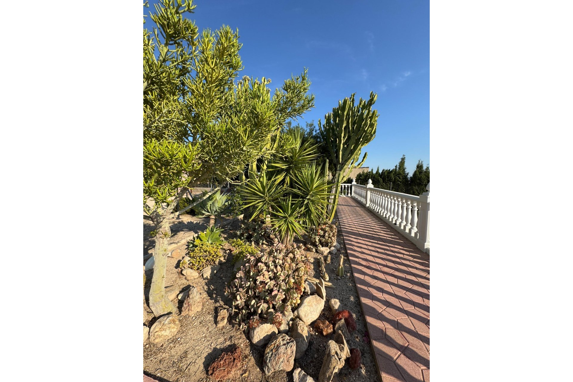 Resale - Villa -
Albatera - Partida Lomas