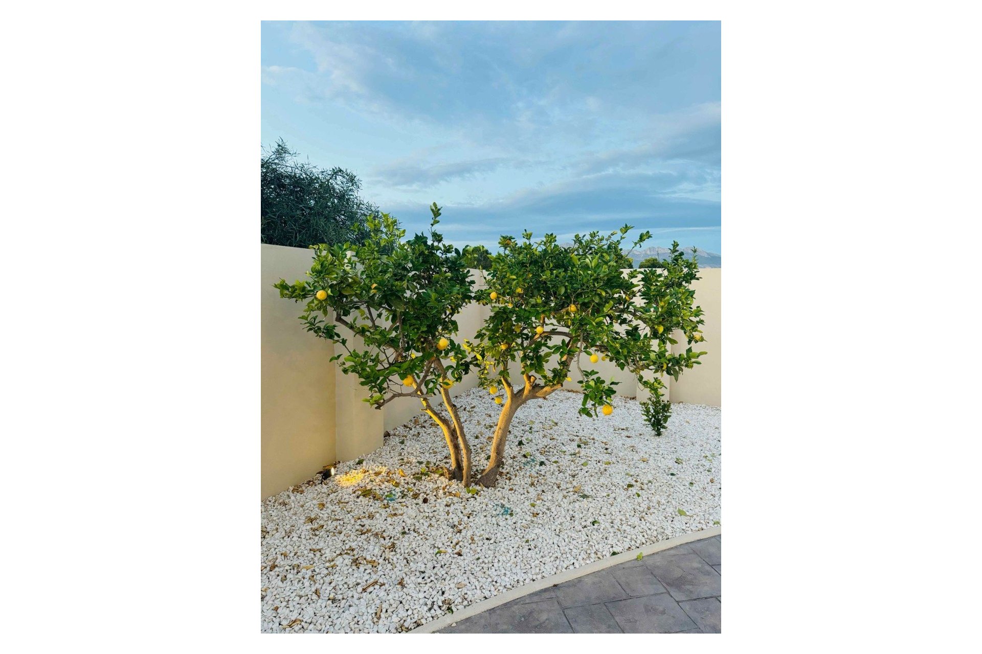 Resale - Villa -
Alfas del Pí - Costa Blanca