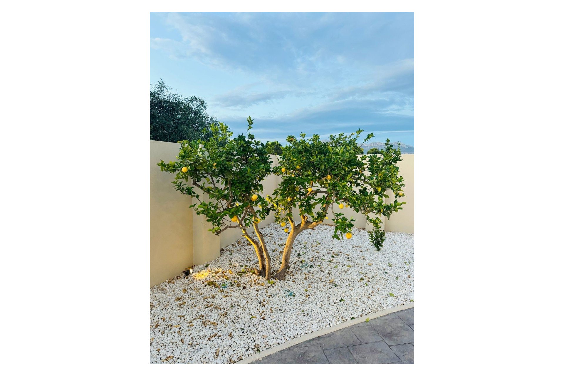 Resale - Villa -
Alfas del Pí - Costa Blanca