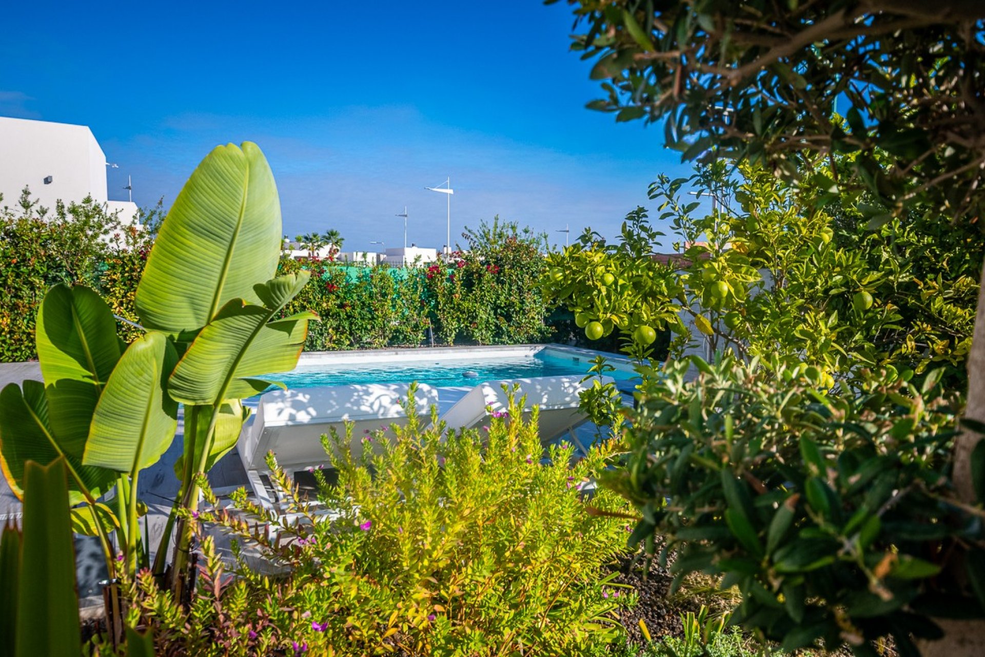 Resale - Villa -
Algorfa - Inland