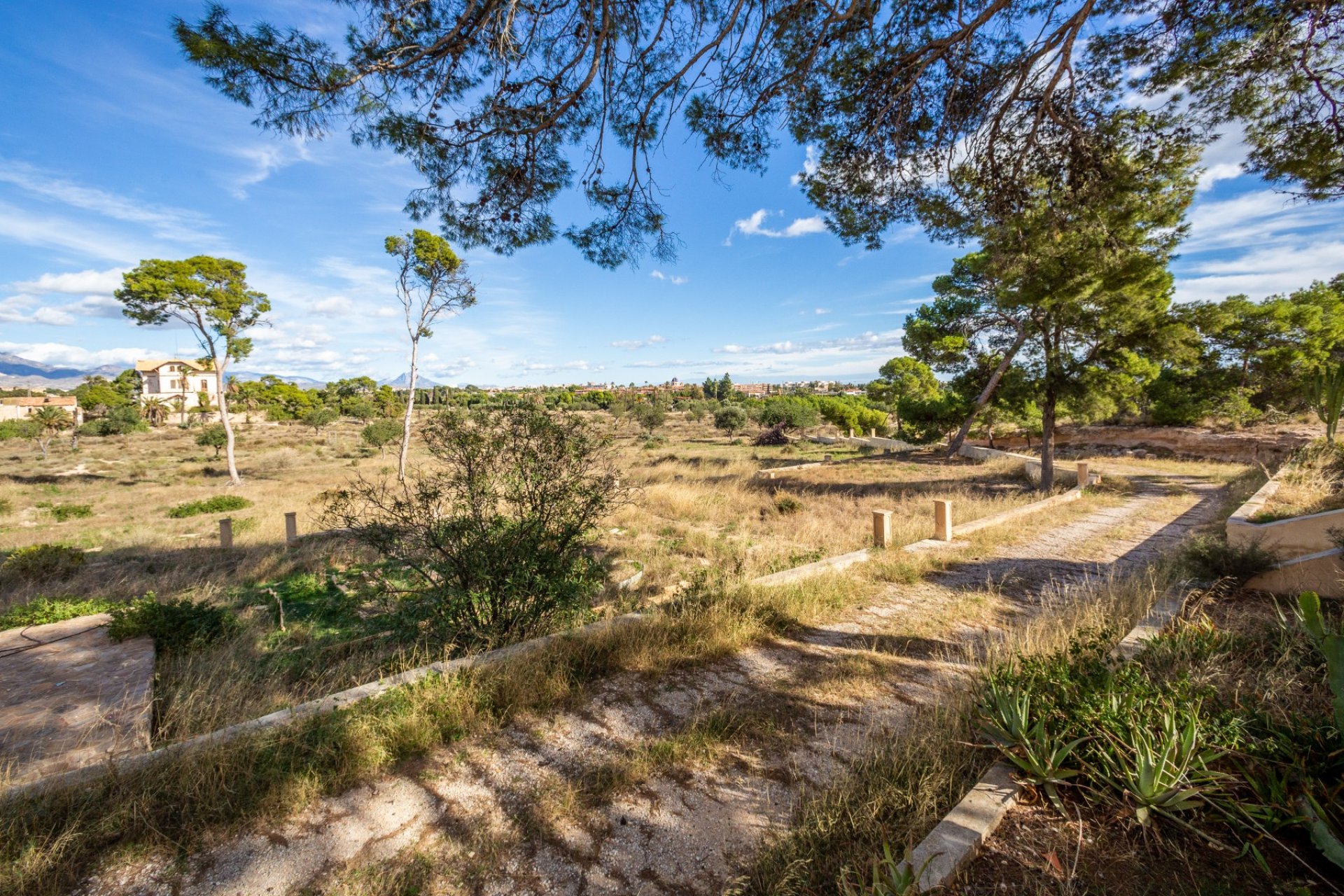 Resale - Villa -
Alicante - Costa Blanca