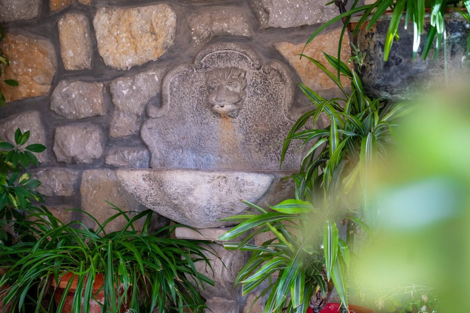 Resale - Villa -
Alicante - Costa Blanca