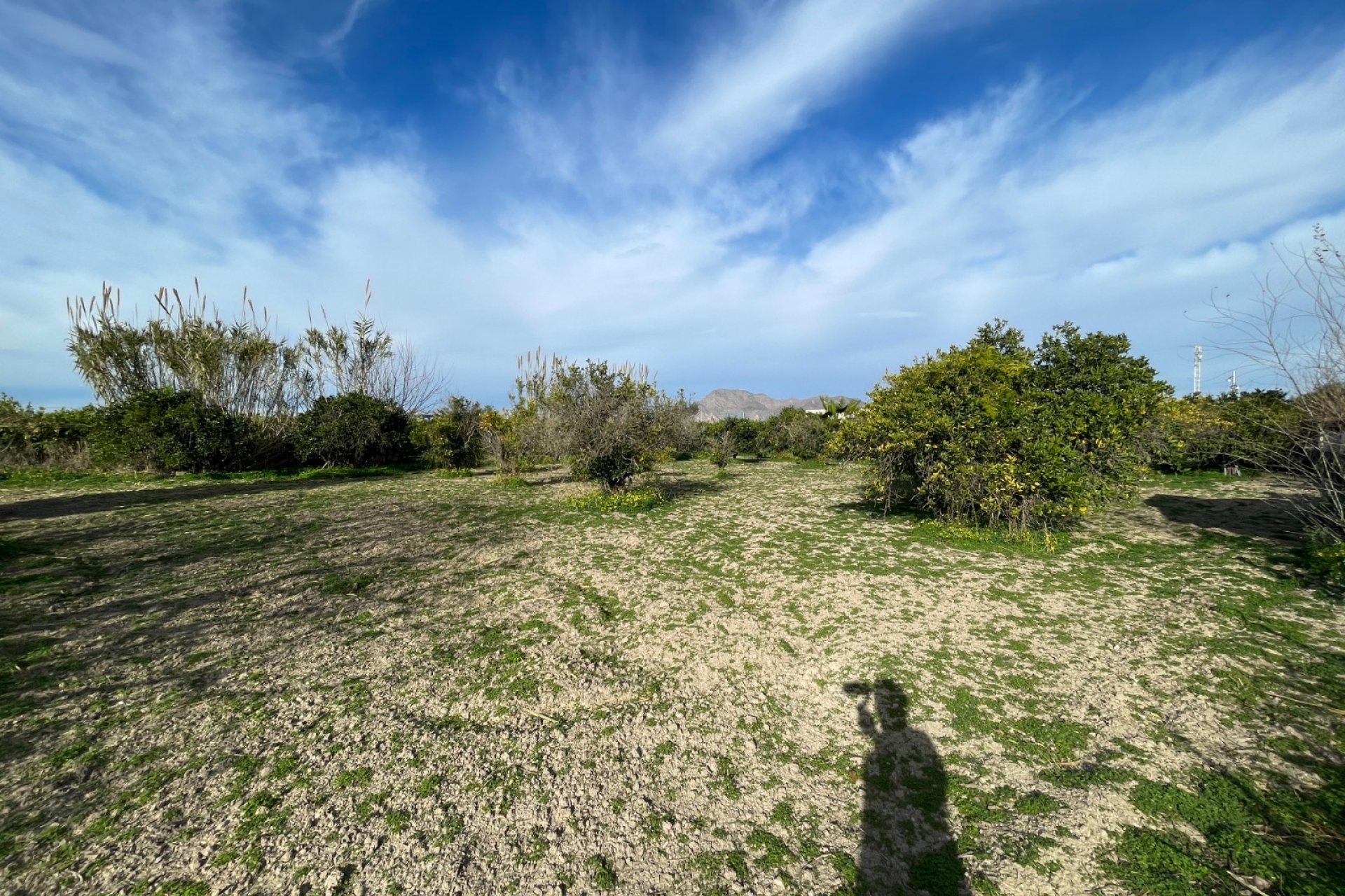 Resale - Villa -
Benejúzar - Inland