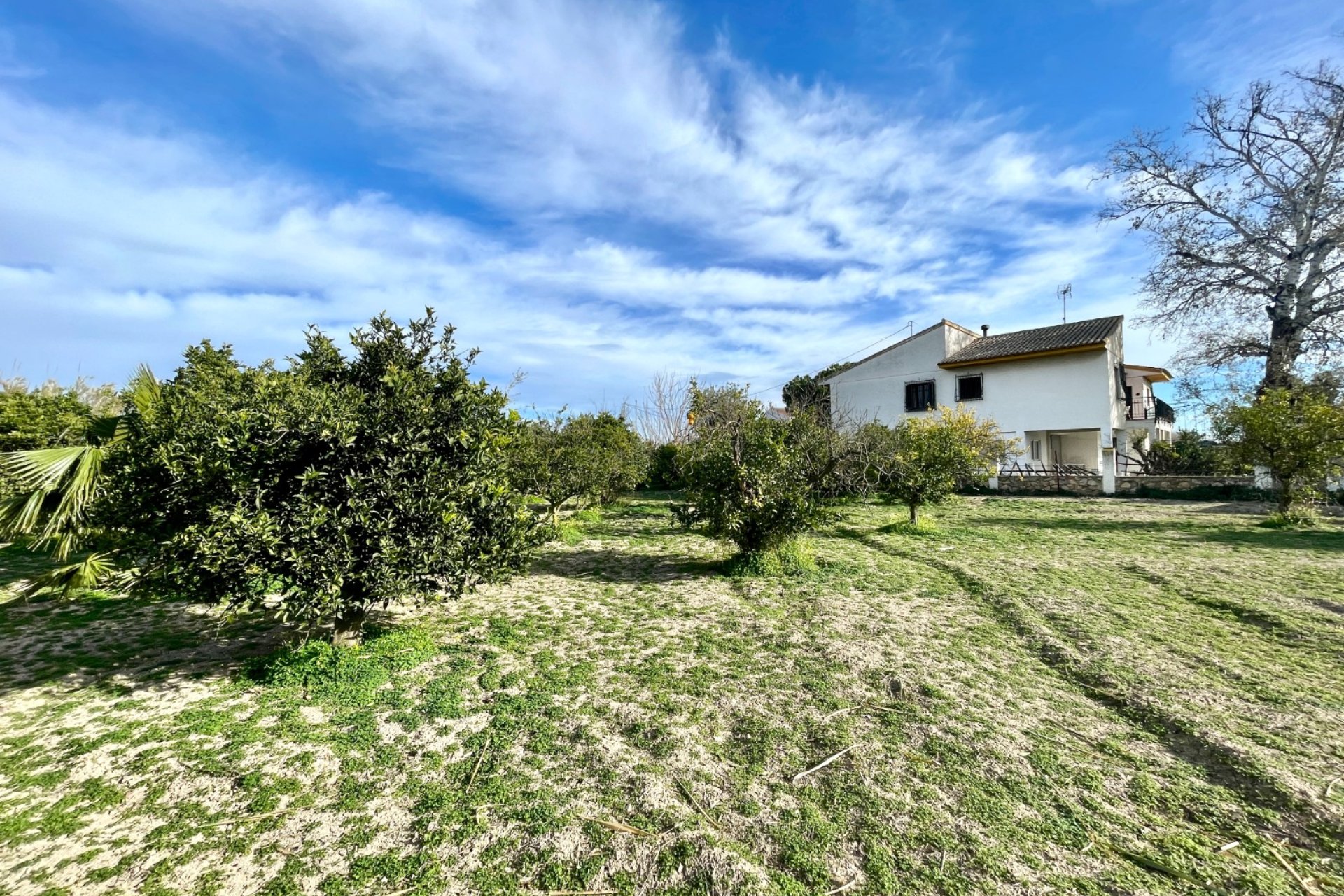 Resale - Villa -
Benejúzar - Inland