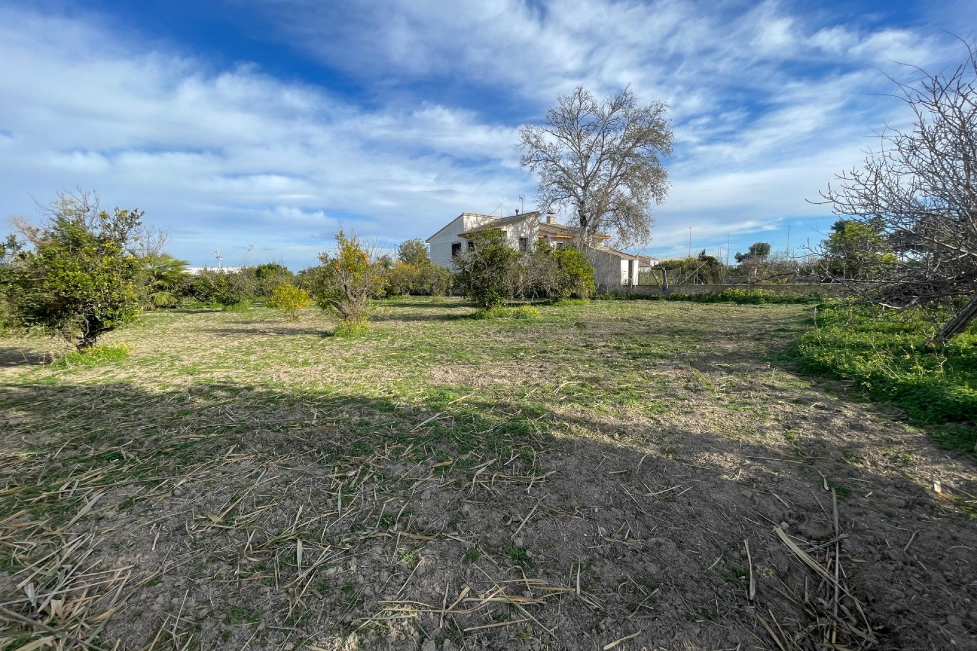 Resale - Villa -
Benejúzar - Inland