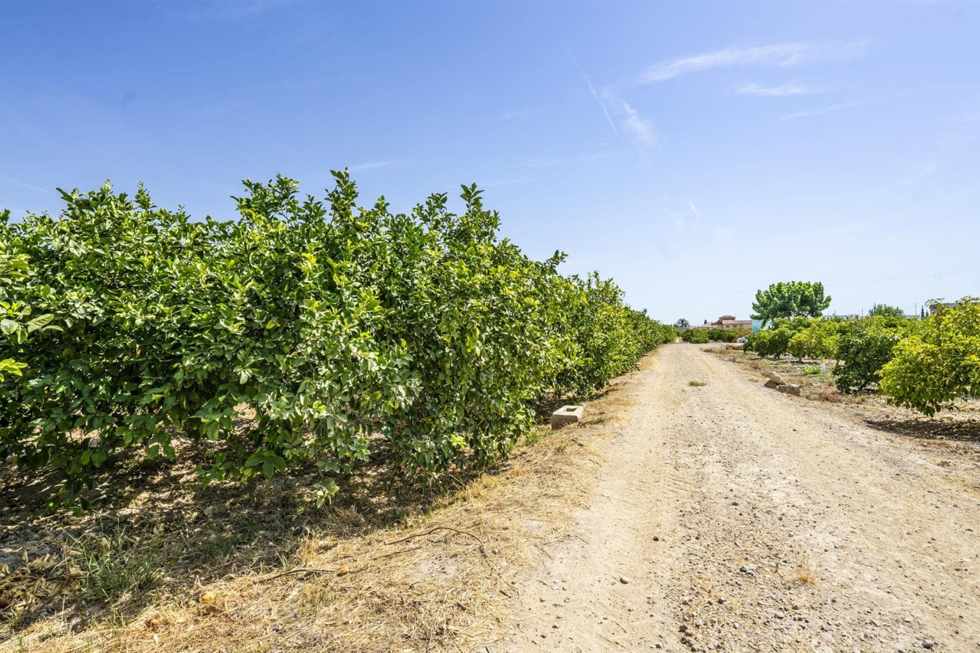 Resale - Villa -
Beniel - Inland