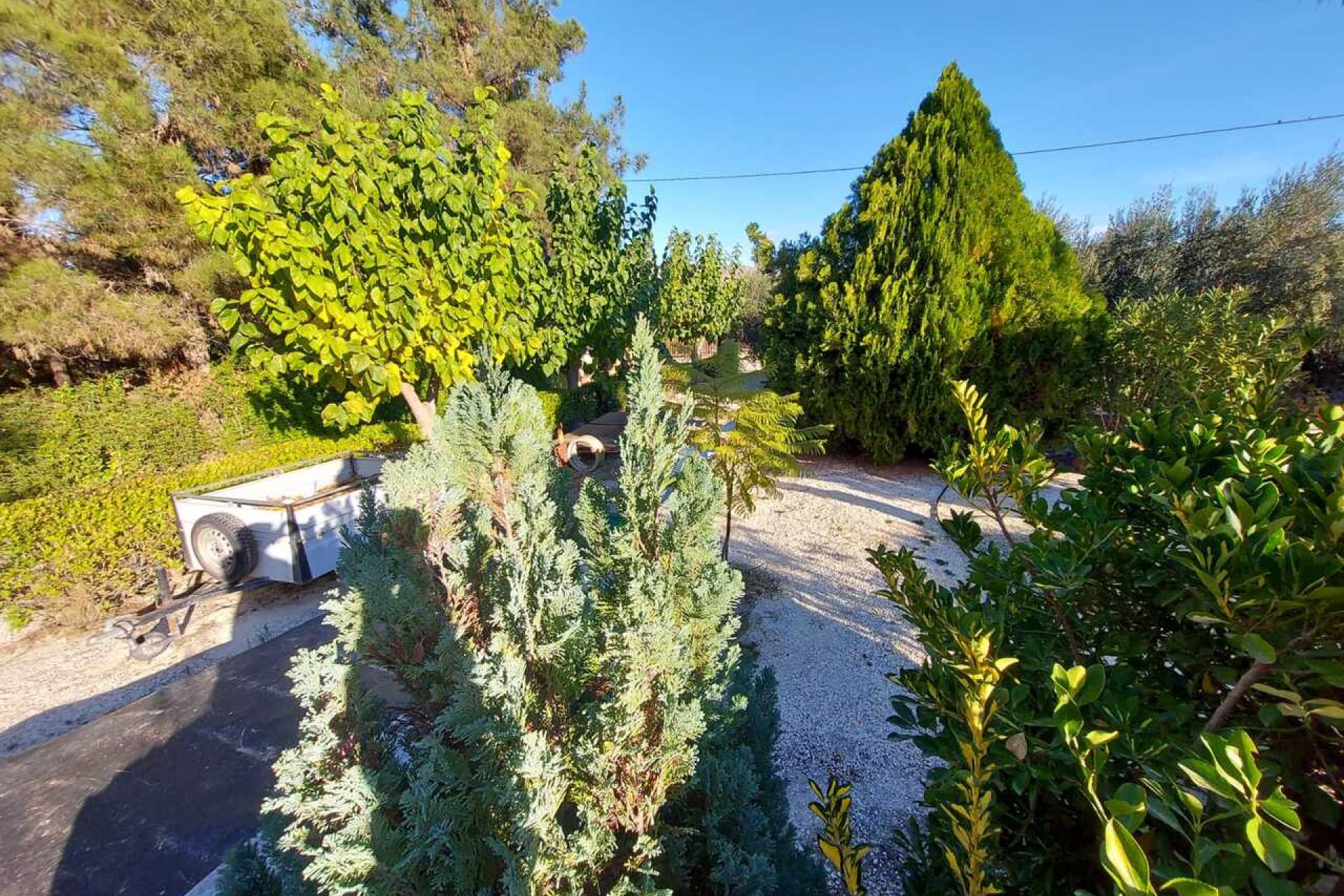 Resale - Villa -
Calasparra - Inland