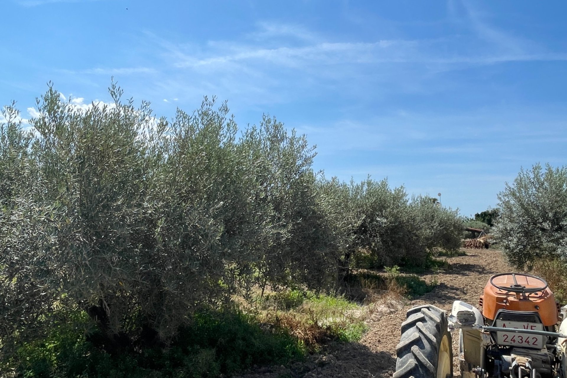 Resale - Villa -
Crevillent - Inland