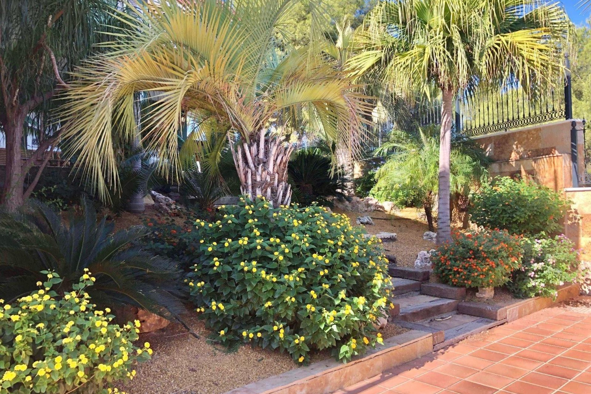 Resale - Villa -
El Palmar