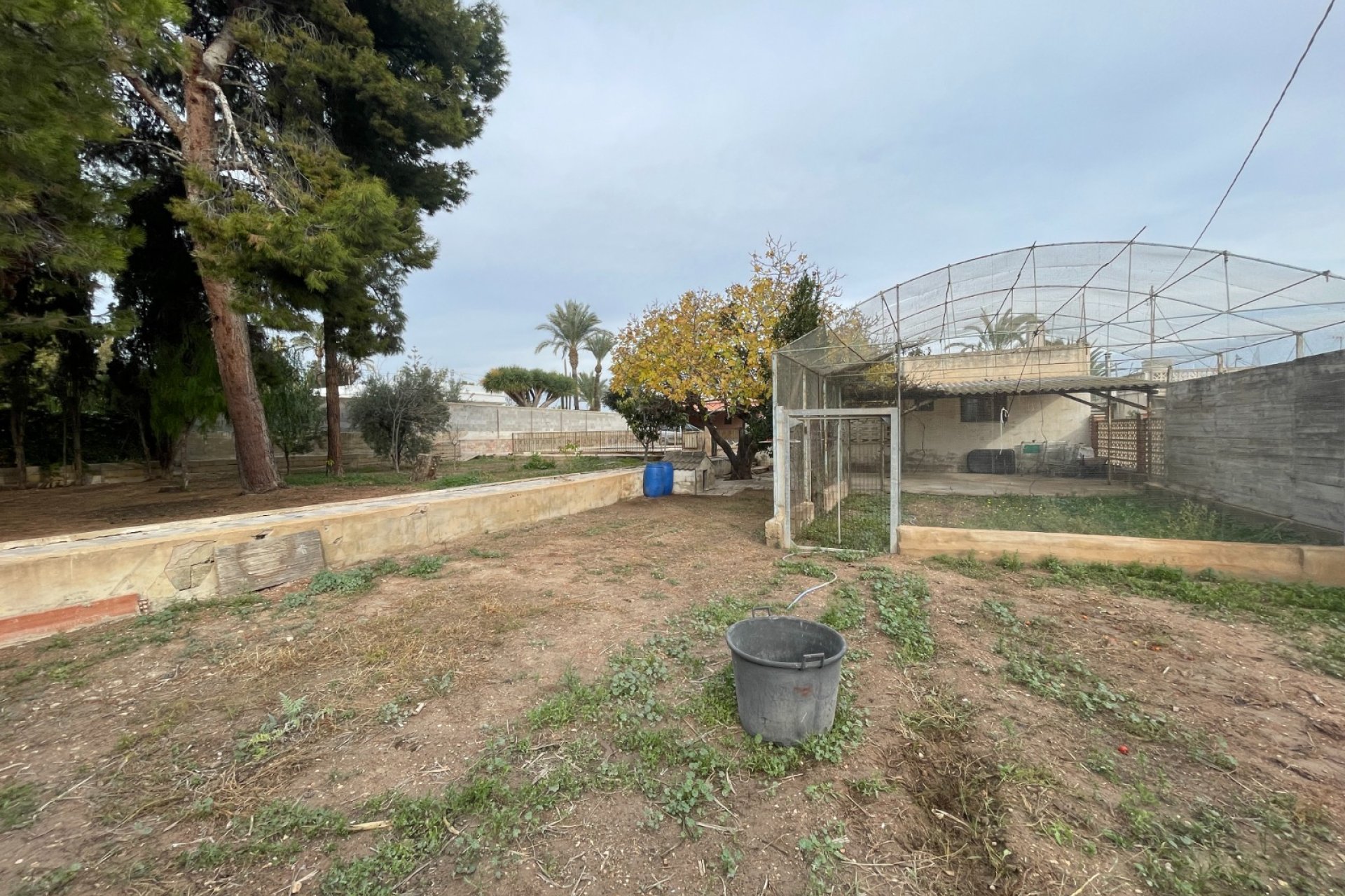 Resale - Villa -
Elche - Costa Blanca