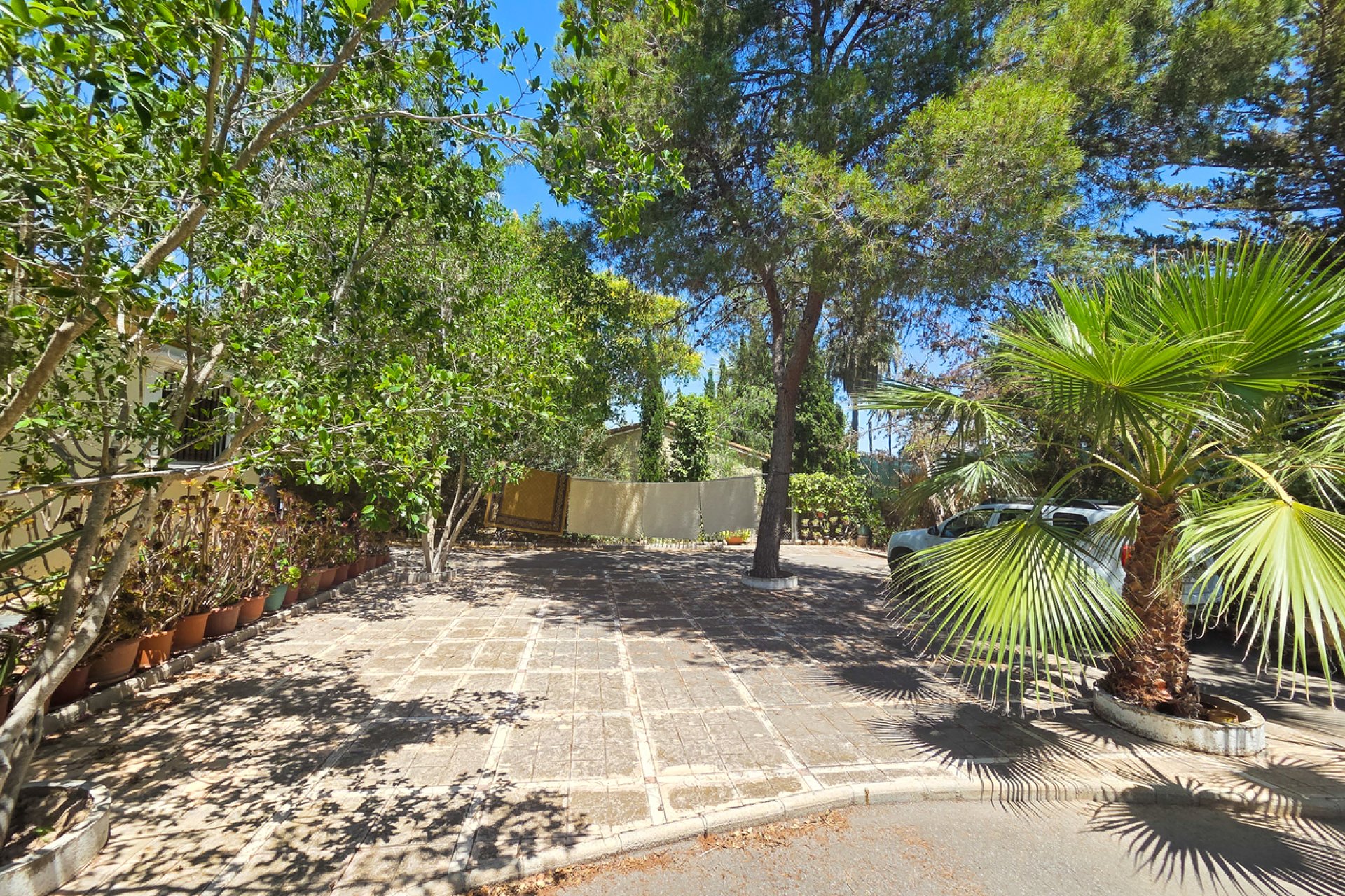 Resale - Villa -
Elche - Costa Blanca