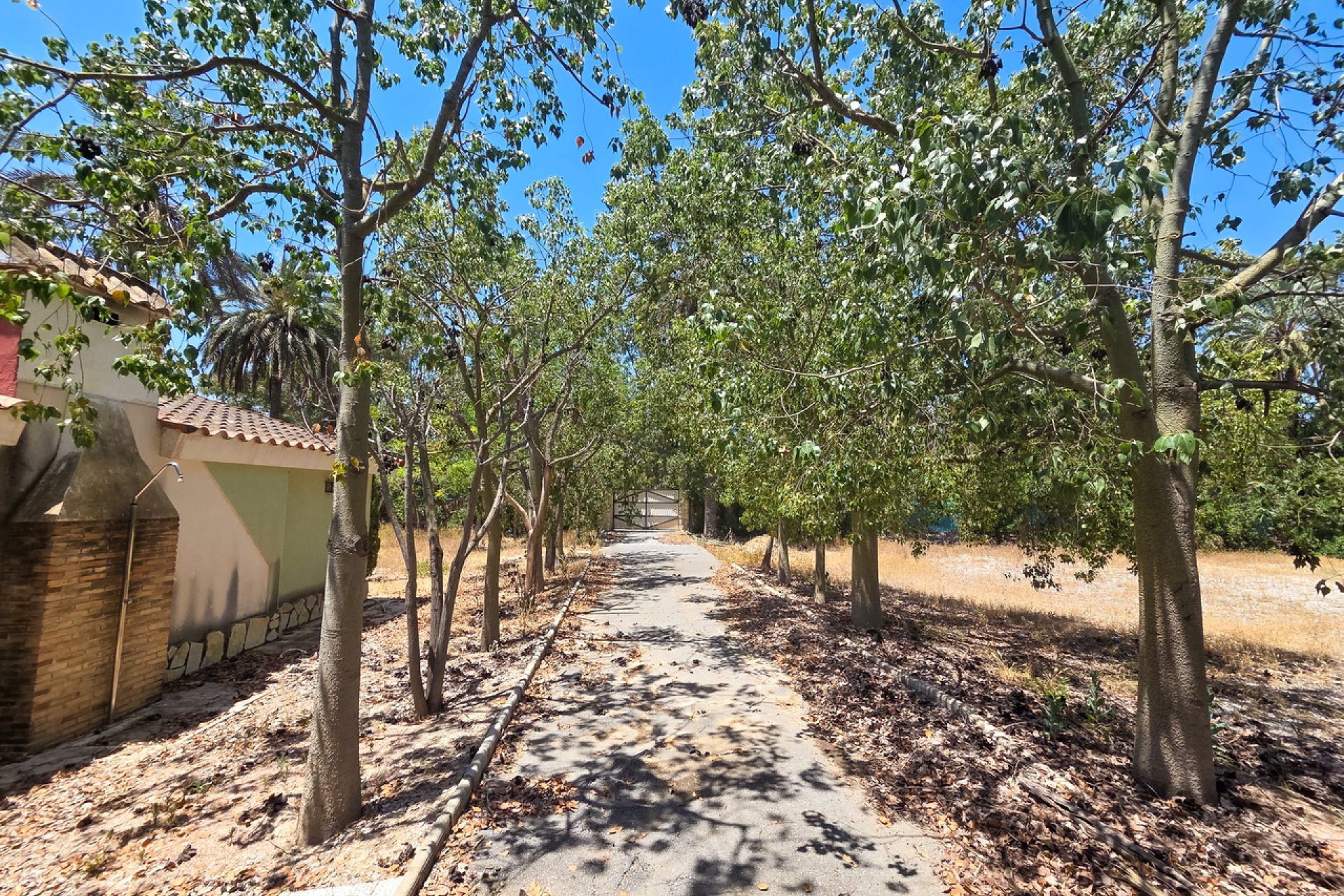 Resale - Villa -
Elche - Costa Blanca