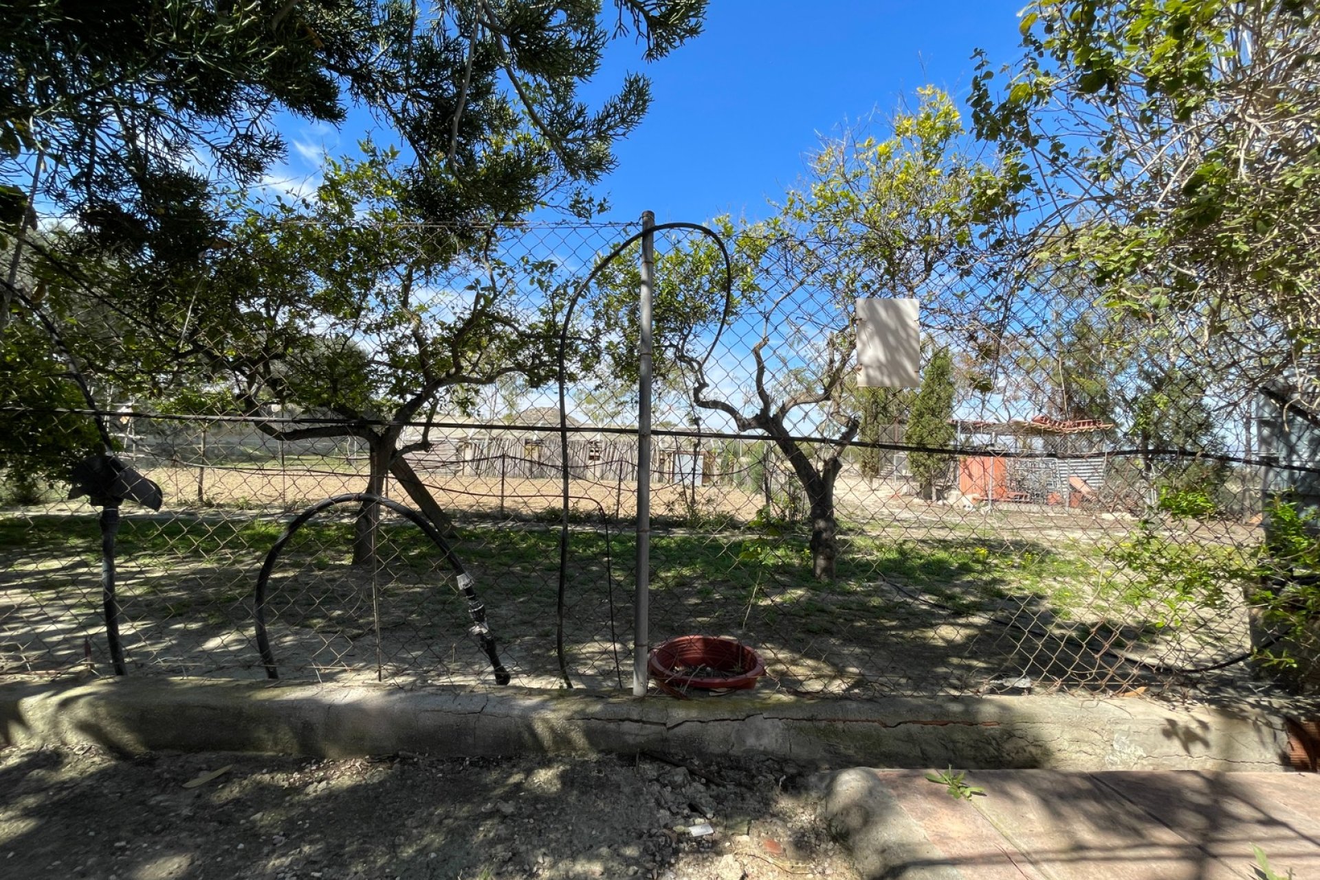 Resale - Villa -
Guardamar del Segura - Costa Blanca