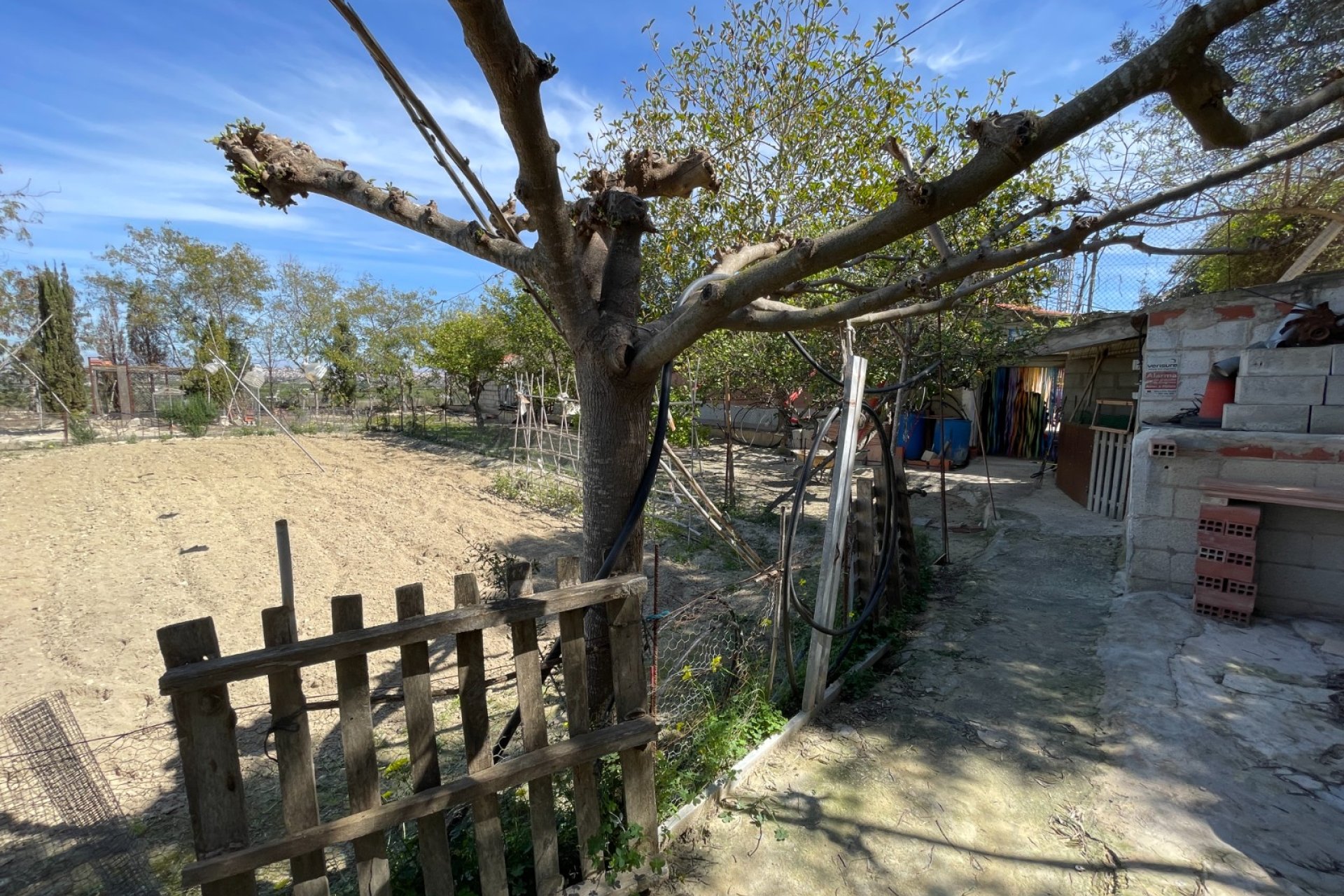 Resale - Villa -
Guardamar del Segura - Costa Blanca